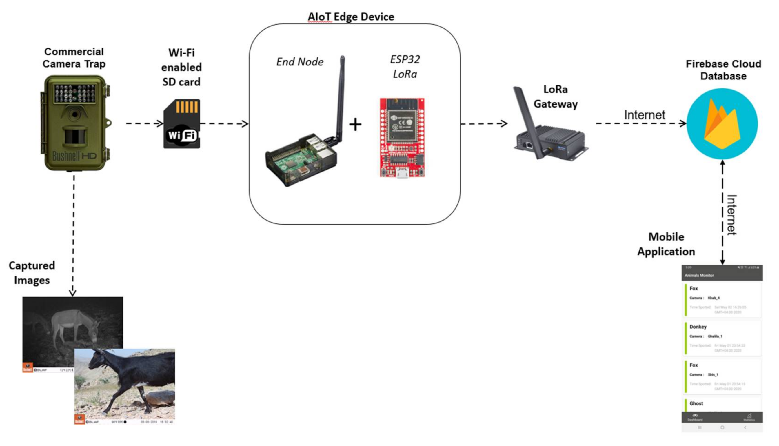 rat detection camera