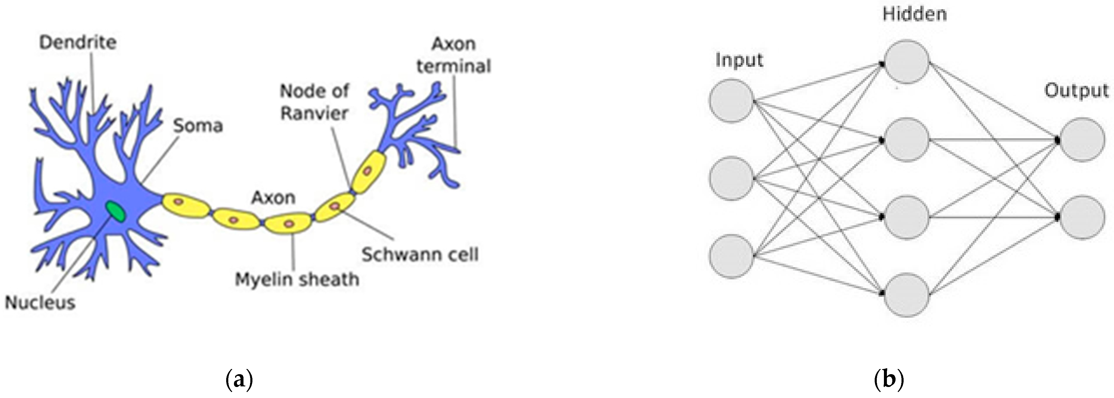 Computers 12 00004 g001 Computers 12 00004 g001
