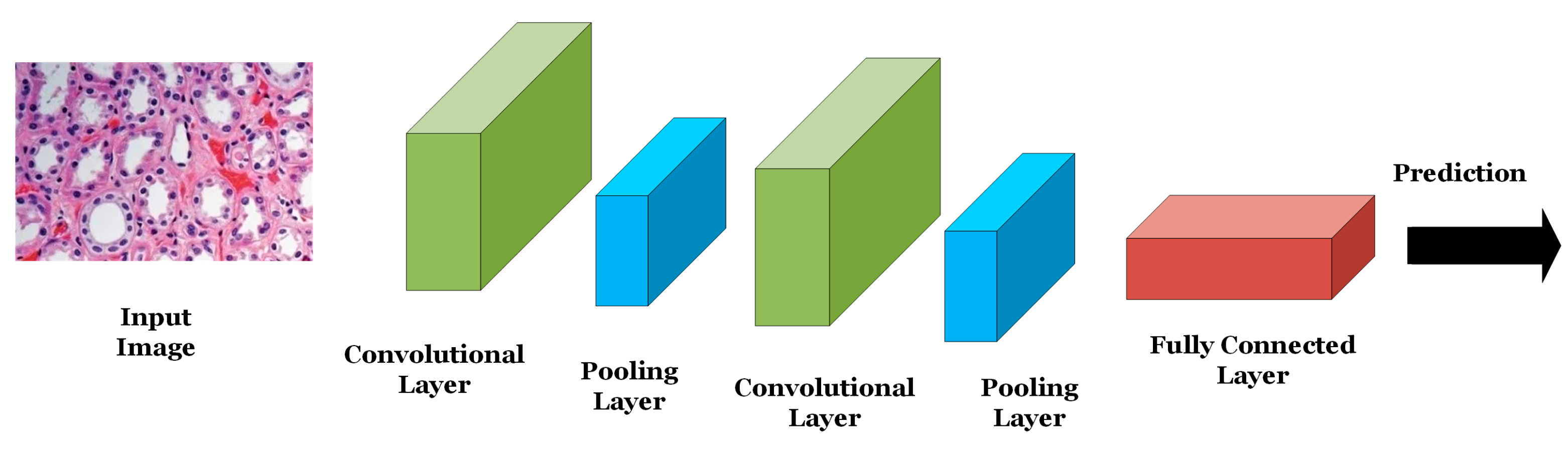 Computers 12 00058 g002