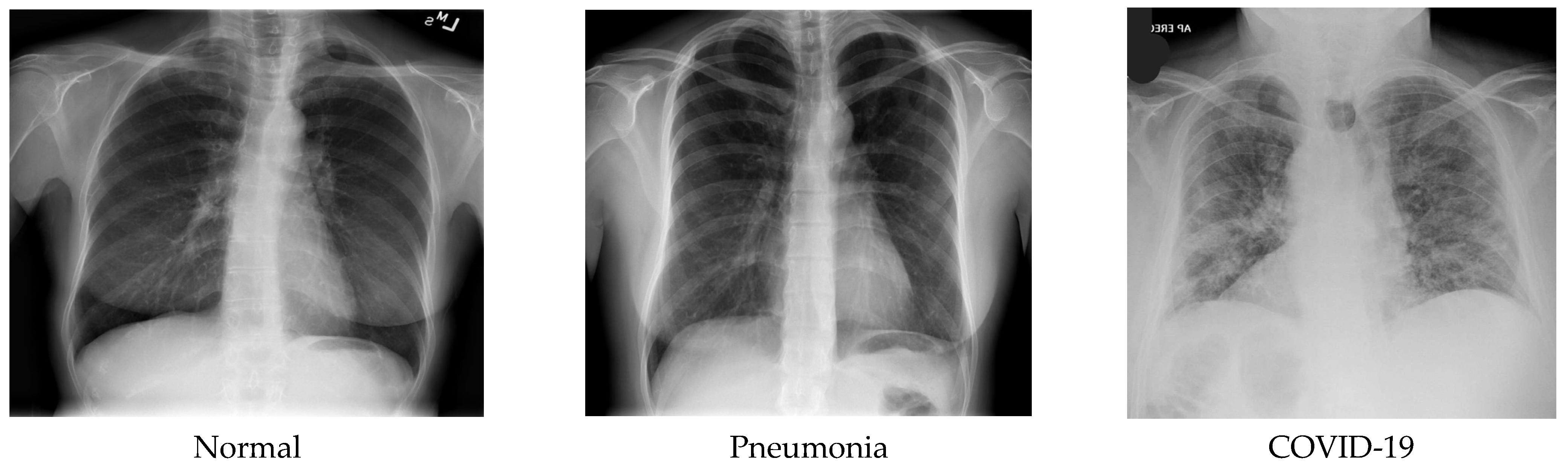 Computers 12 00095 g001