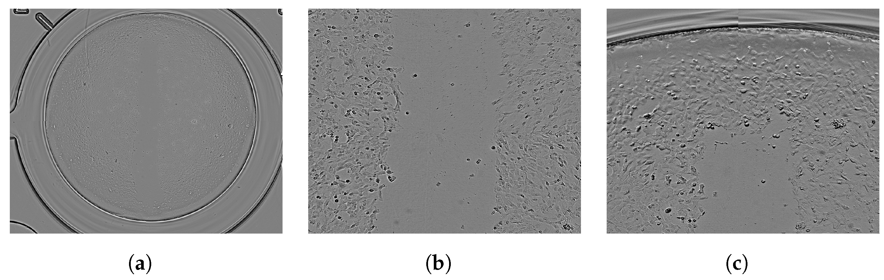 Computers 12 00098 g006