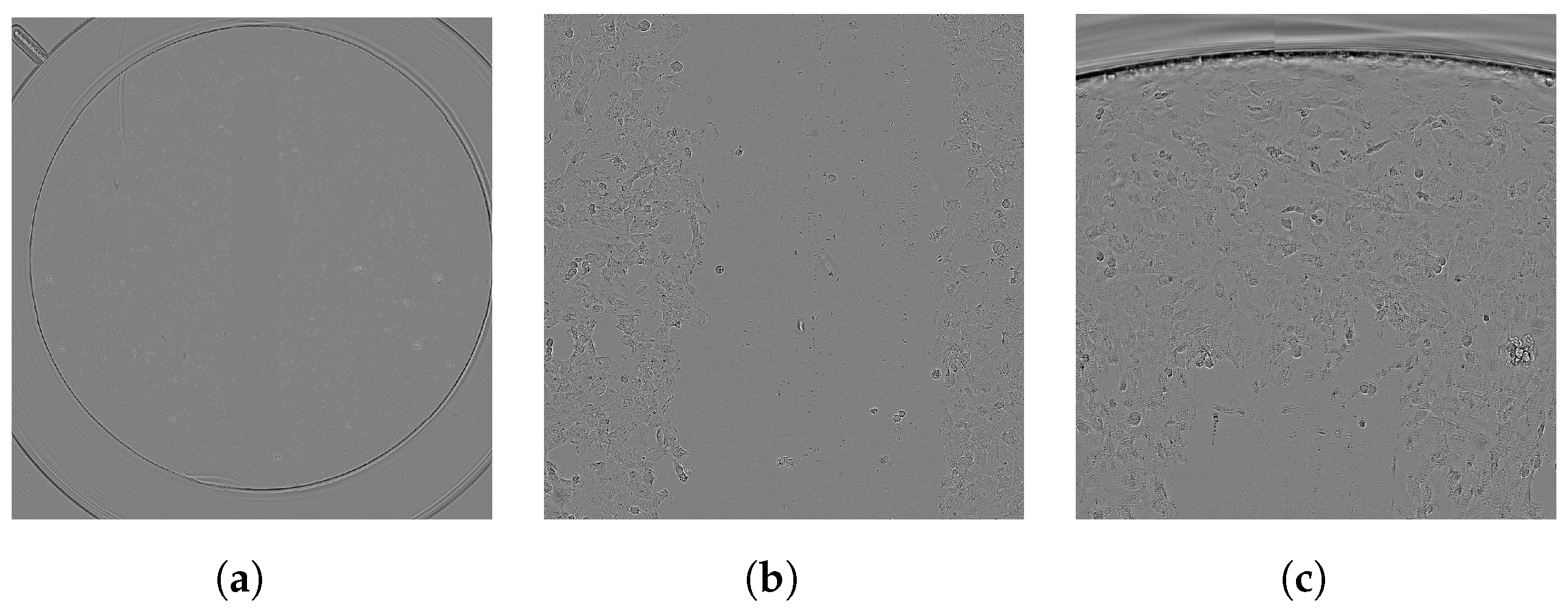 Computers 12 00098 g007