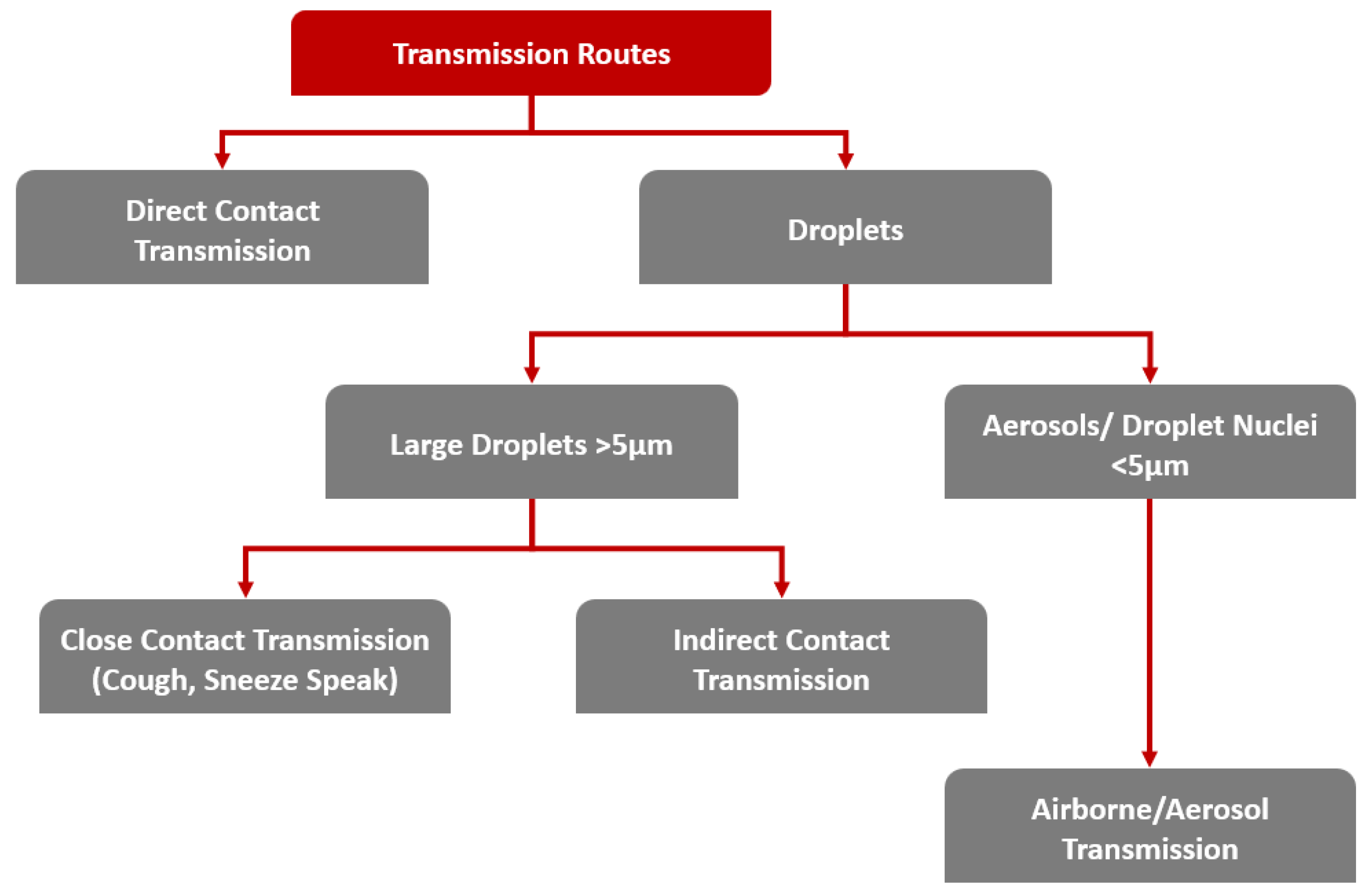 Computers 13 00047 g001