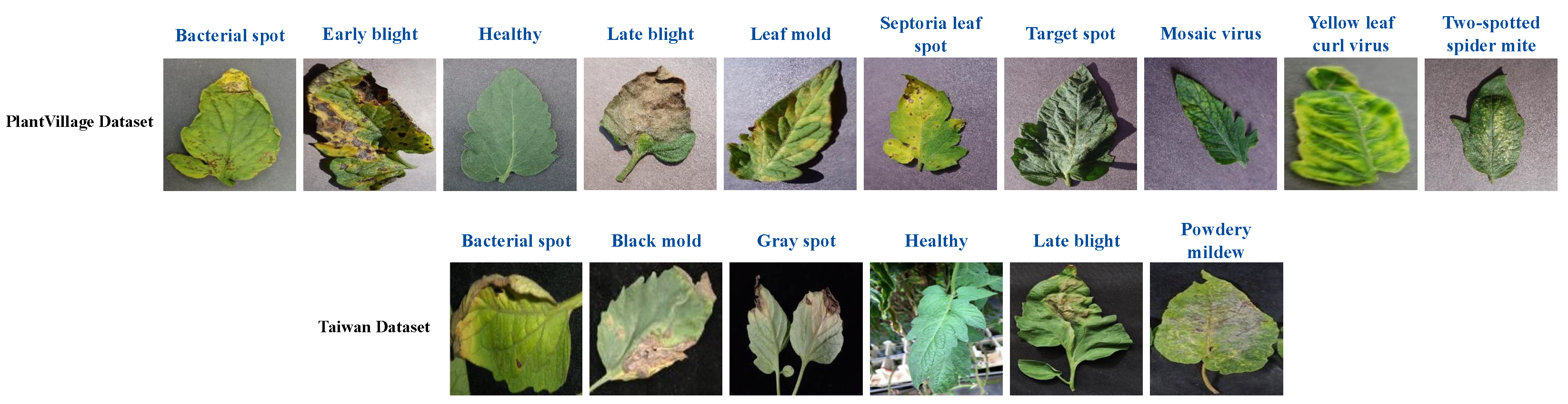 Computers 13 00323 g004