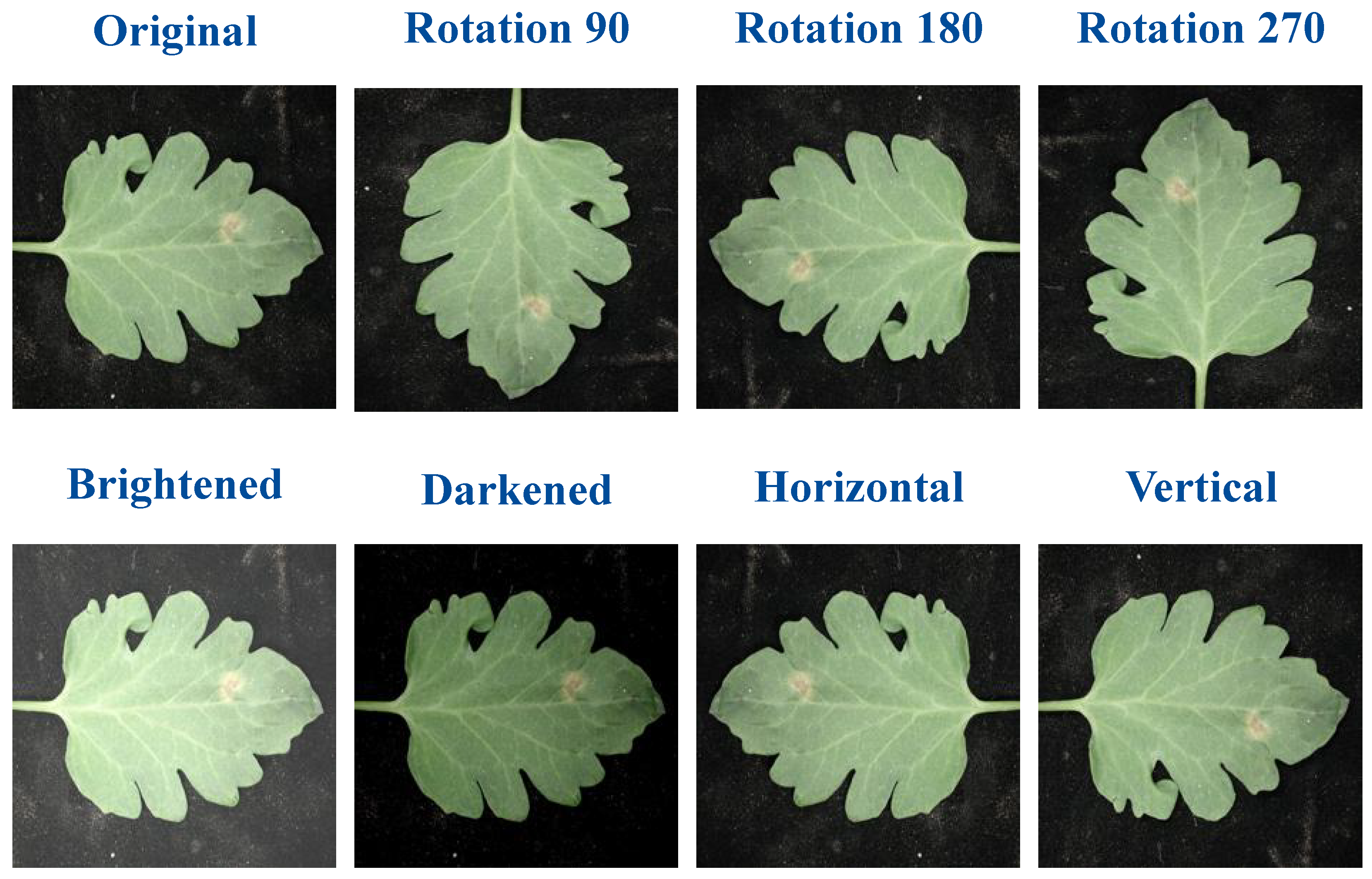 Computers 13 00323 g005