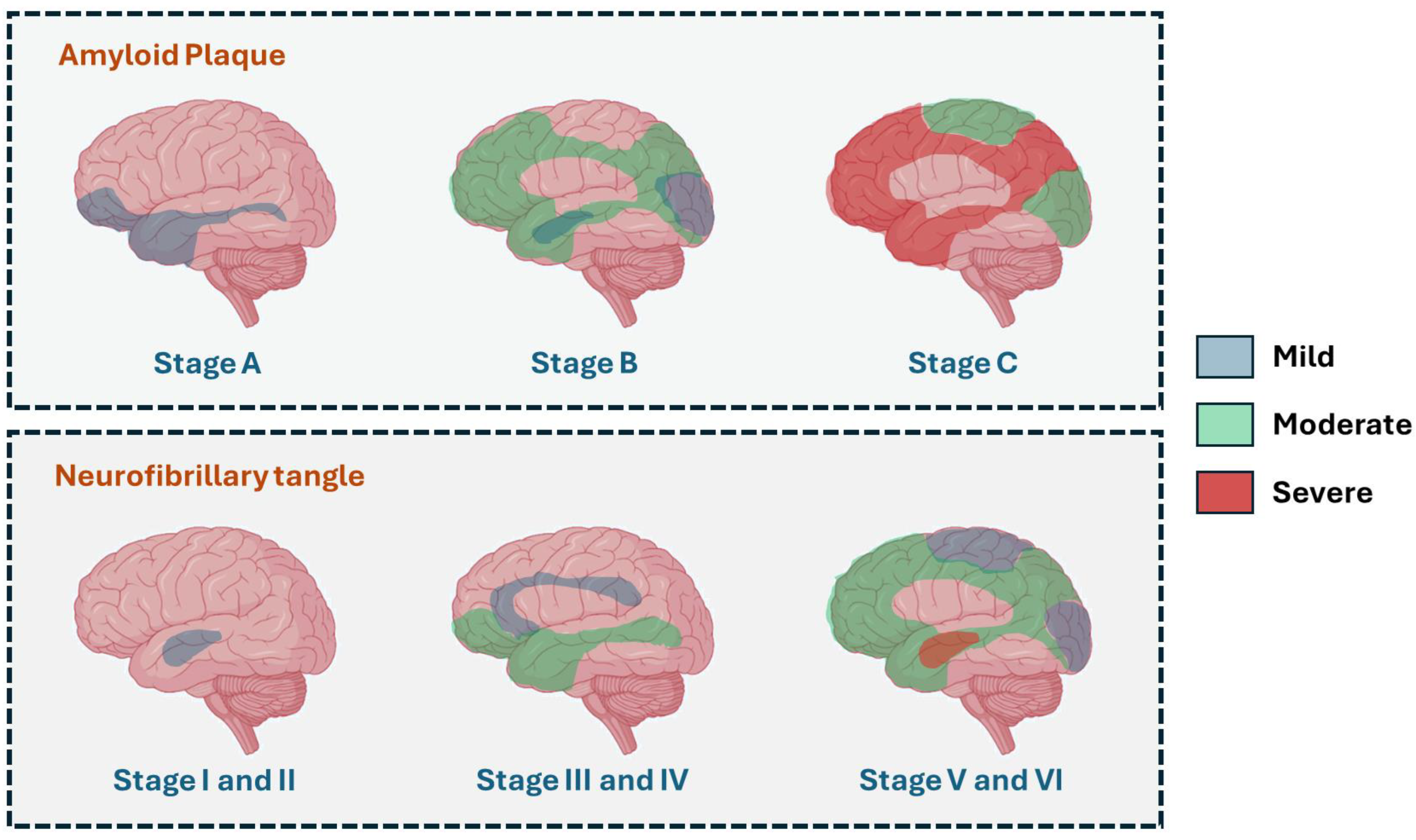 Computers 14 00036 g002 Computers 14 00036 g002