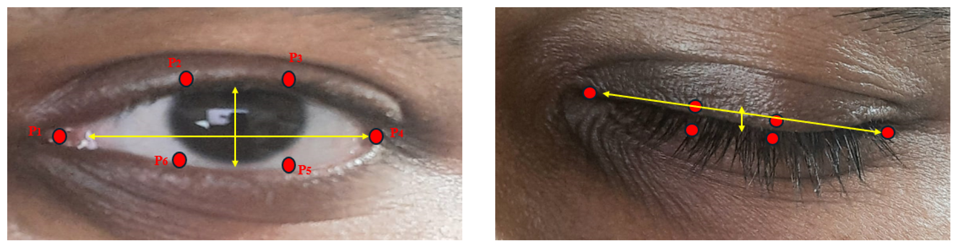 Computers 14 00057 g006