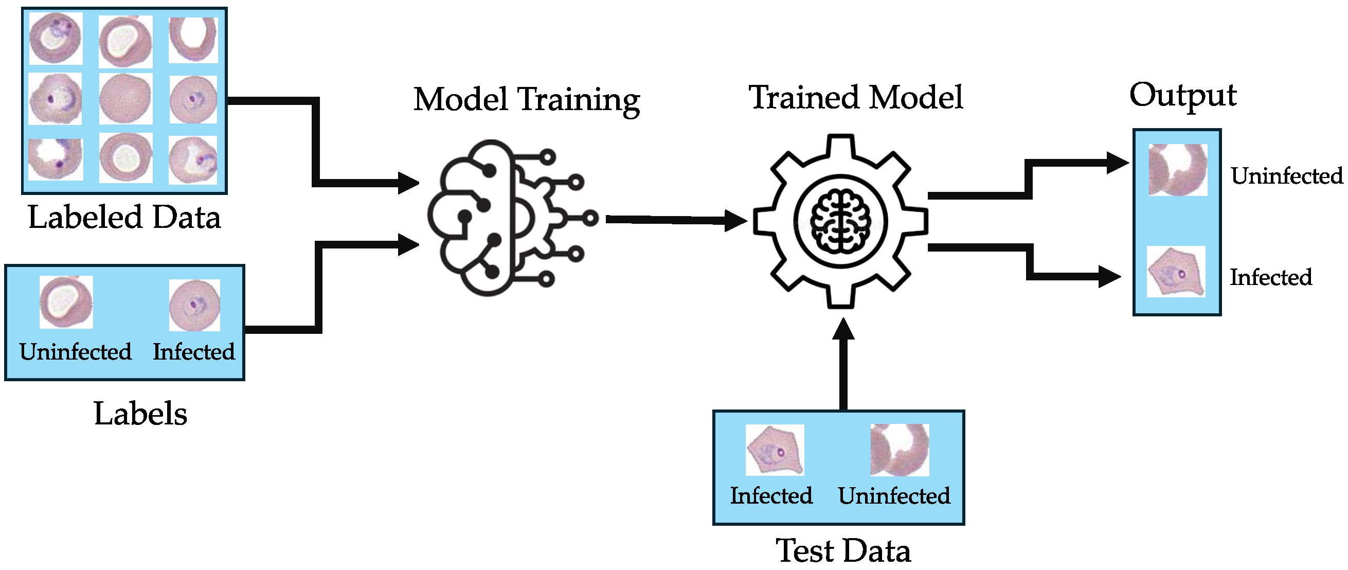 Computers 14 00127 g001