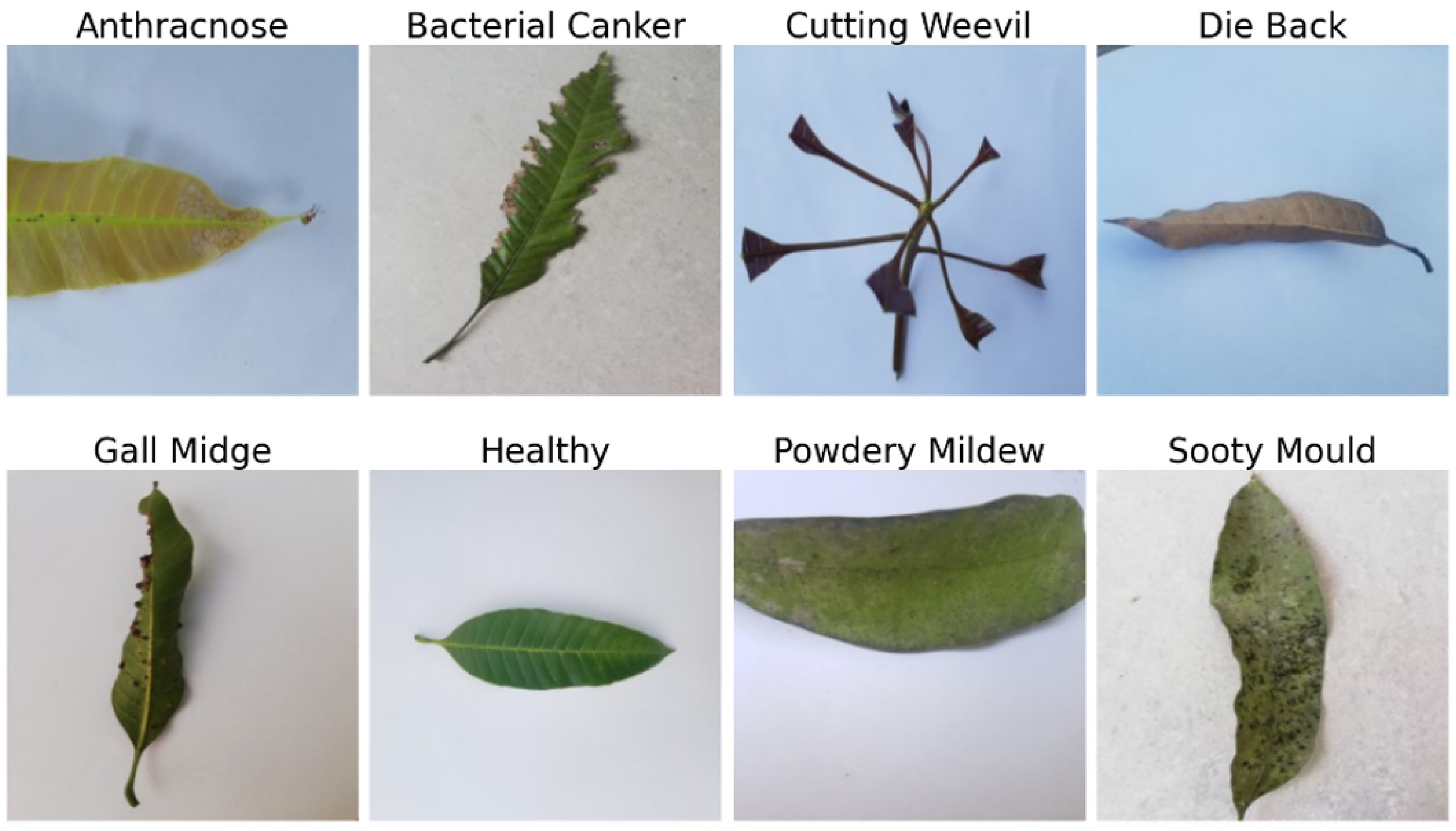 Computers 14 00171 g002