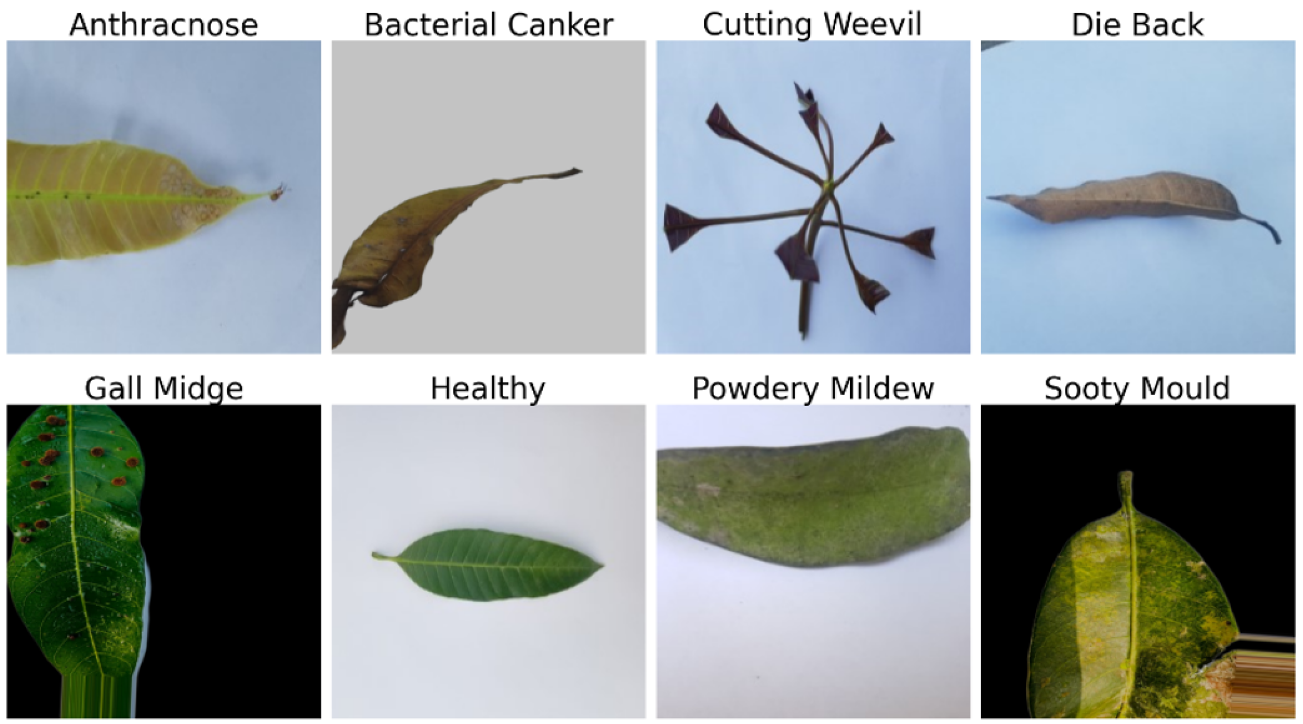 Computers 14 00171 g005