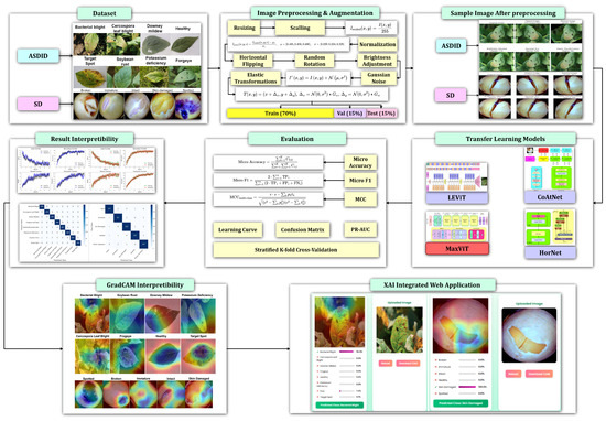 A Novel MaxViT Model for Accelerated and Precise Soybean Leaf and Seed ...
