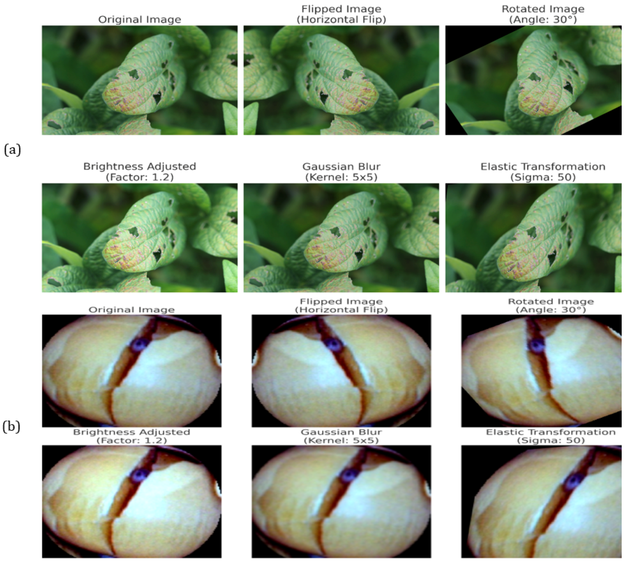 Computers 14 00197 g003