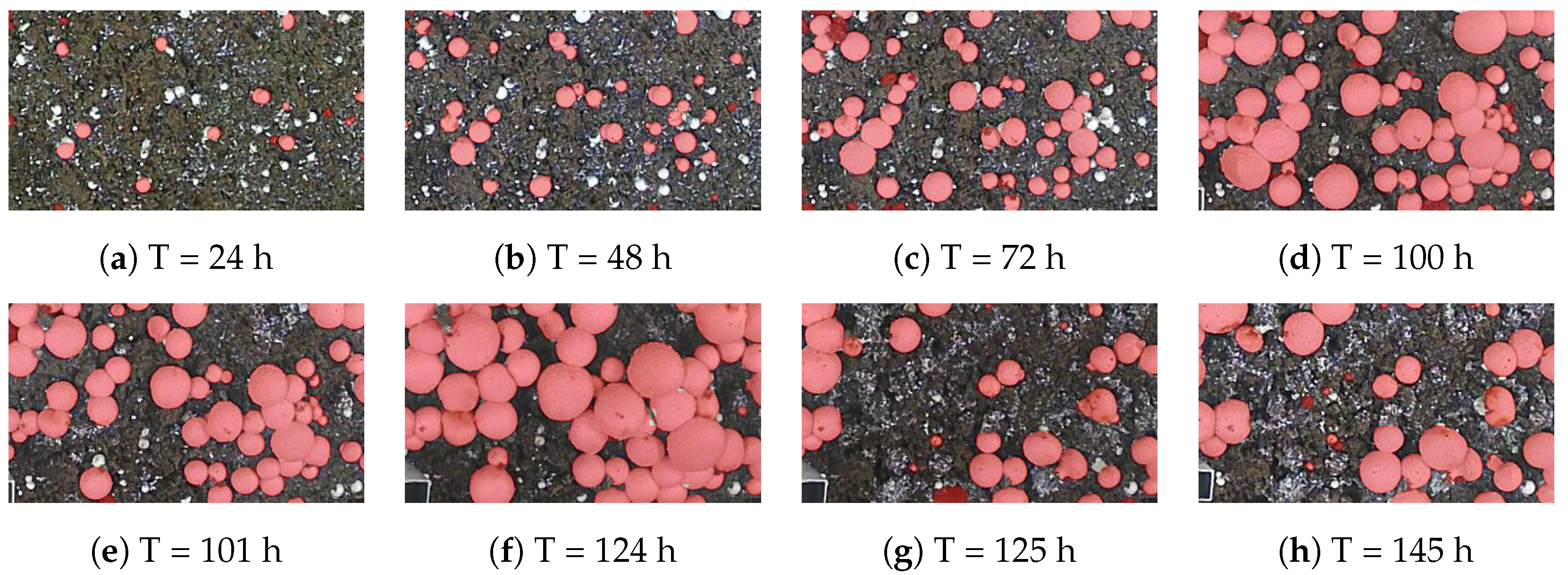 Computers 14 00199 g008