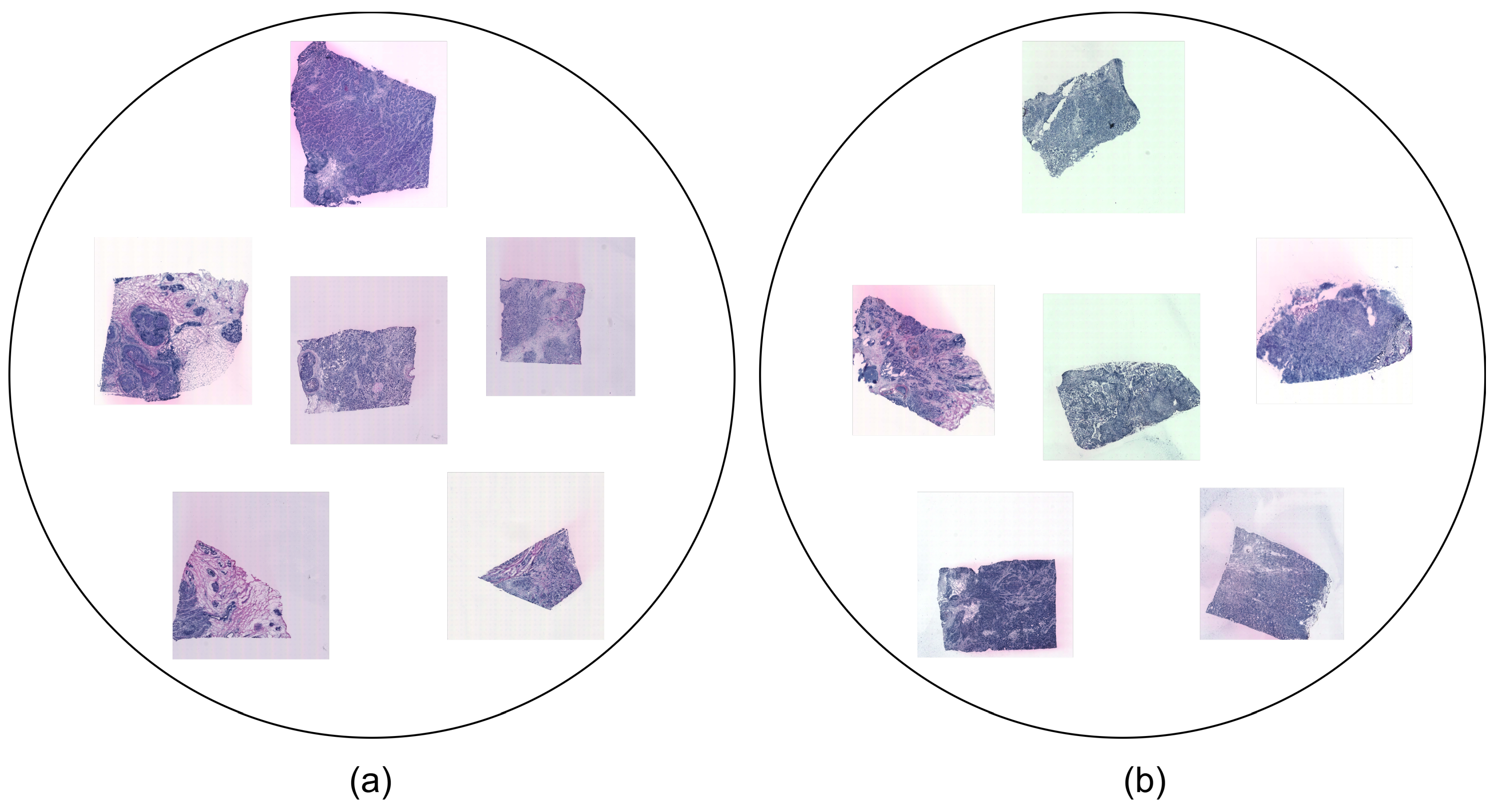 Computers 14 00253 g001