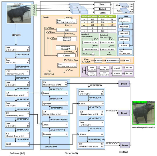 Smart Wildlife Monitoring: Real-Time Hybrid Tracking Using Kalman ...