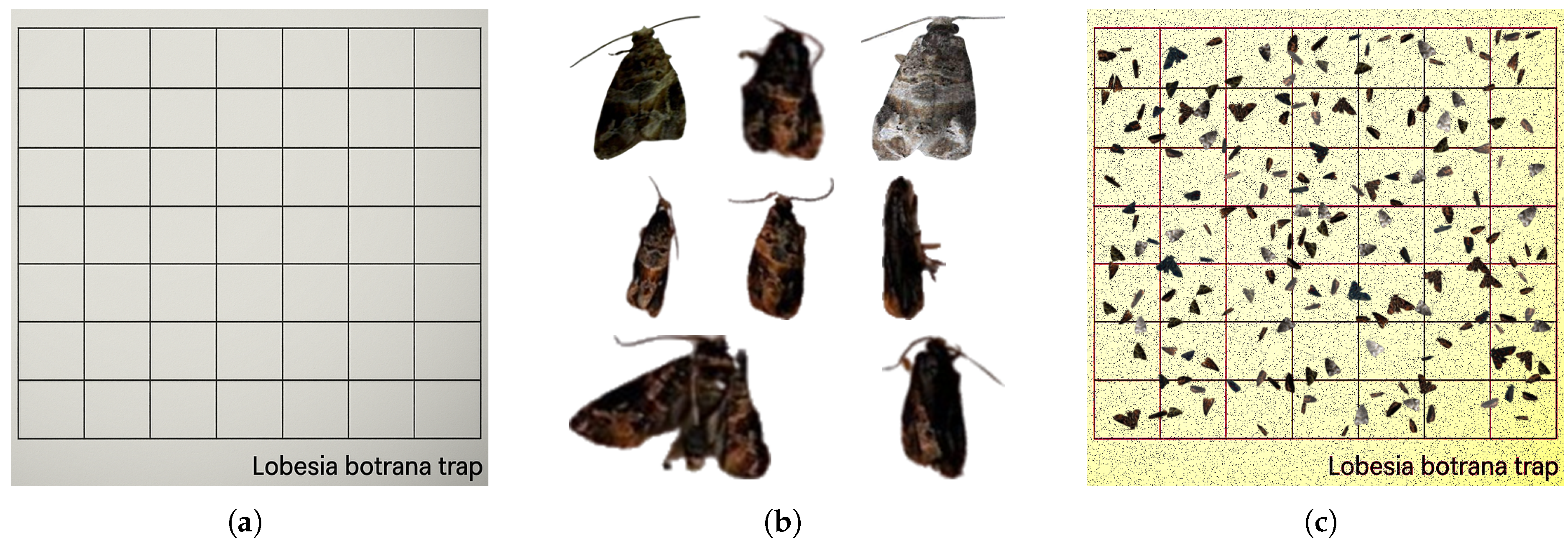 Computers 14 00327 g005