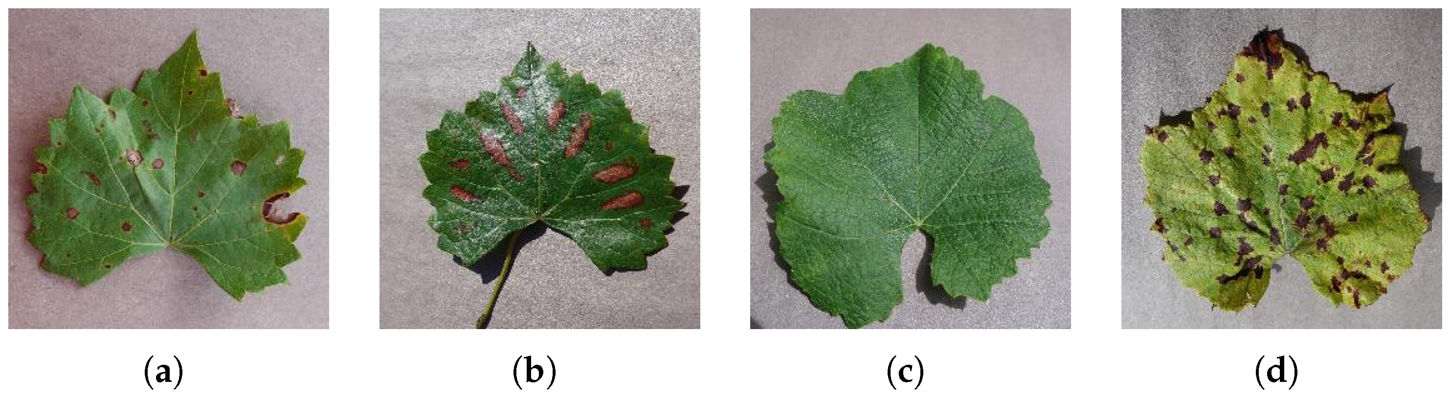 Computers 14 00327 g007