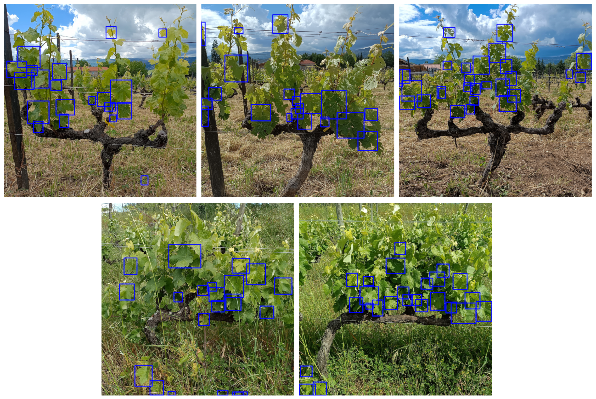 Computers 14 00327 g014