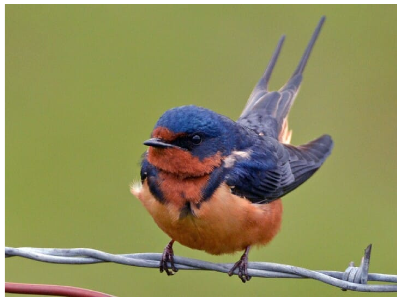 Computers 14 00345 g002 Computers 14 00345 g002