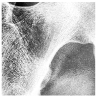 Computers 14 00386 i001