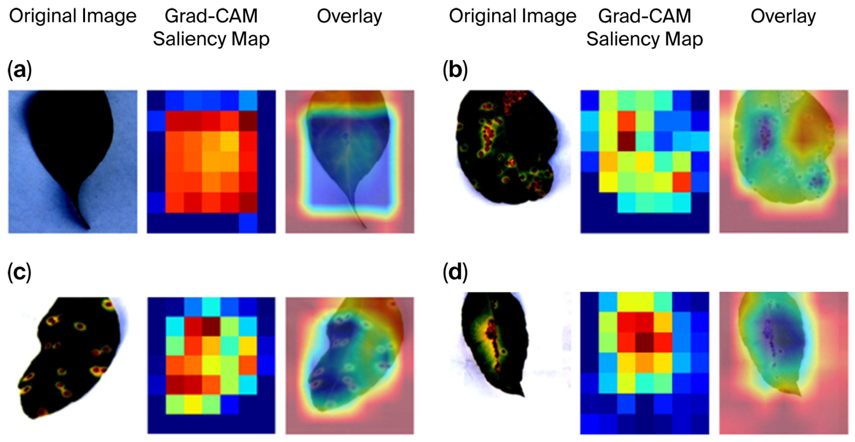 Computers 14 00500 g007 Computers 14 00500 g007