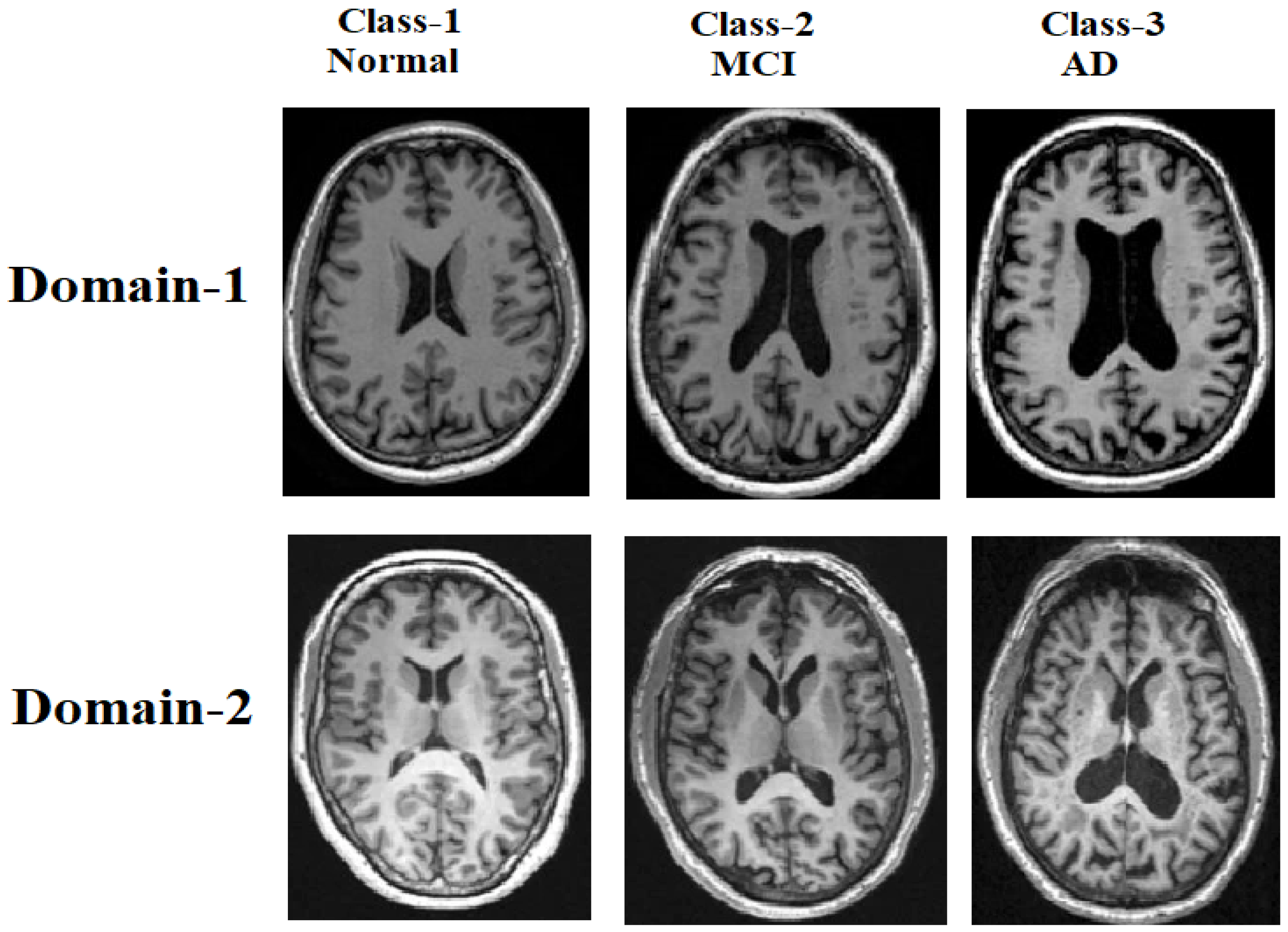 Computers 14 00526 g001