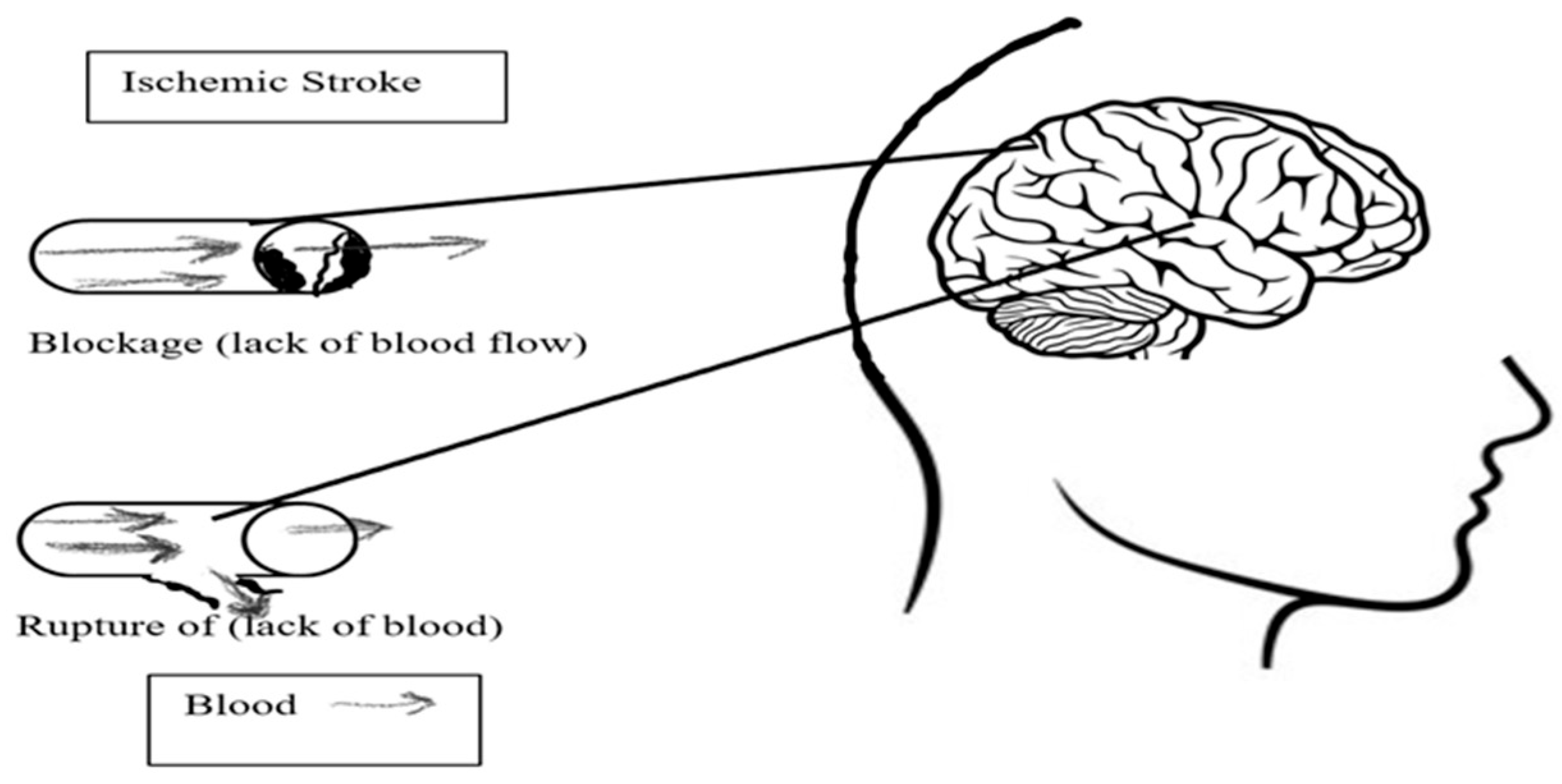 Computers 15 00102 g002