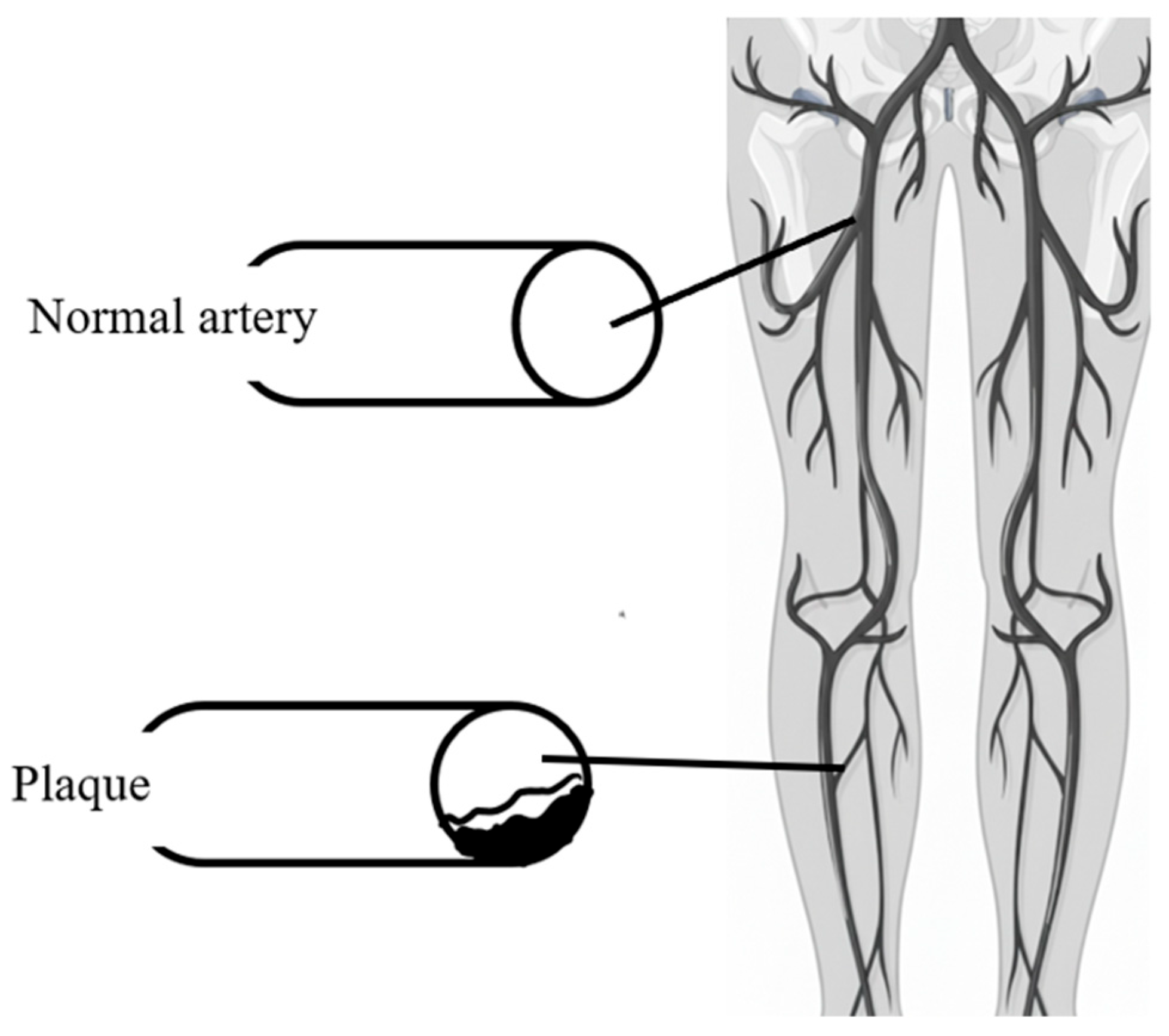 Computers 15 00102 g003