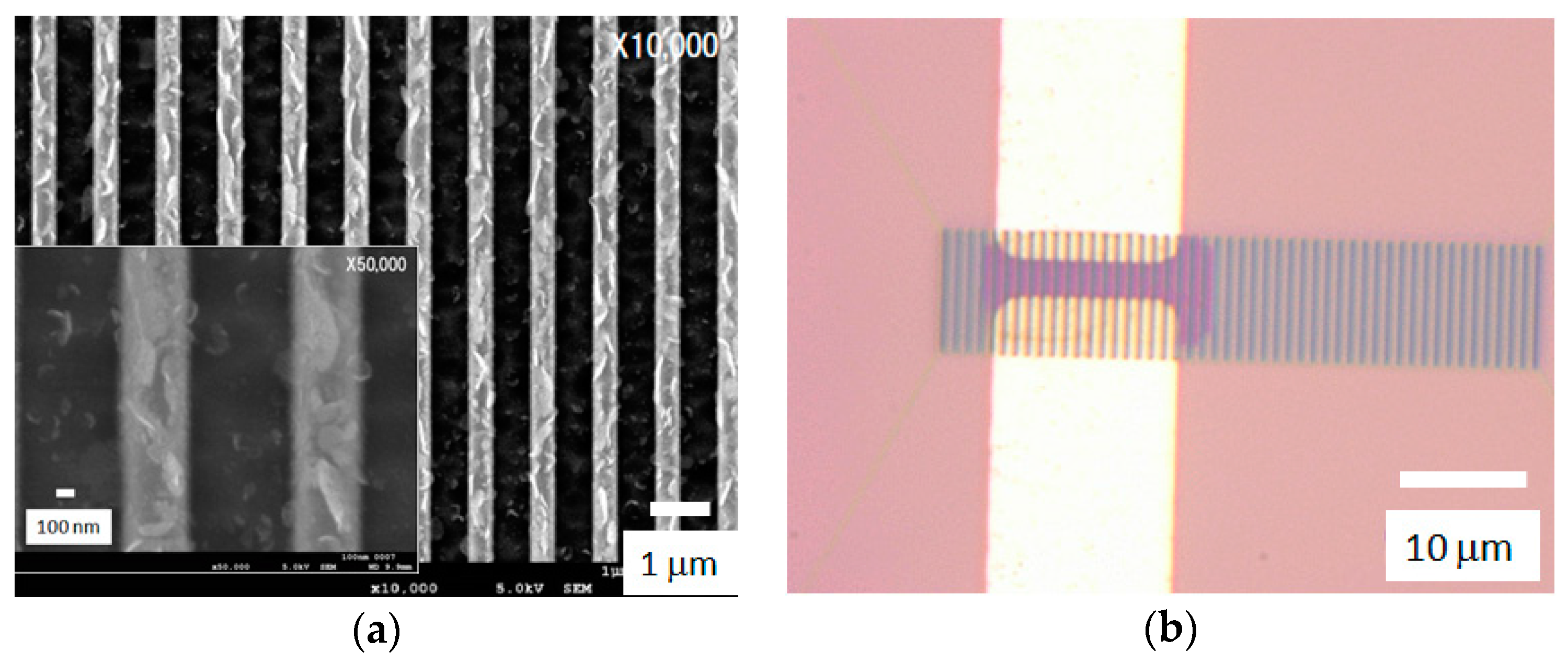 Condensedmatter 01 00007 g001