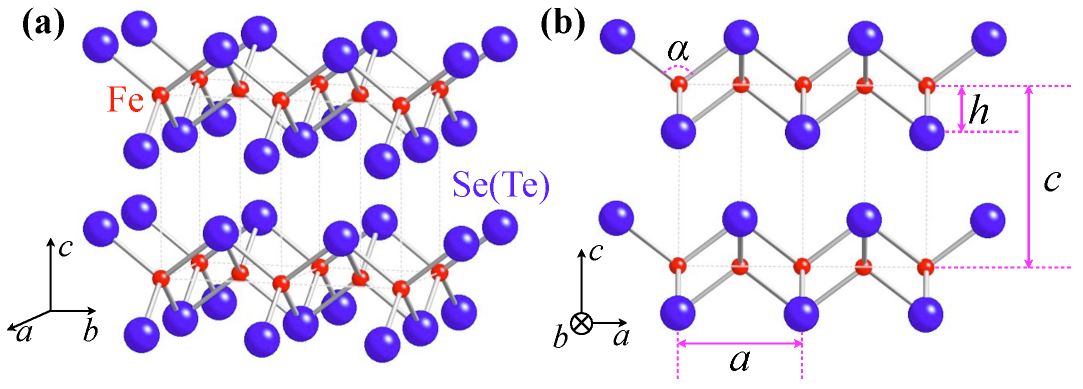 マオ2 Distinct Valley Polarization in Vertical Heterobilayers