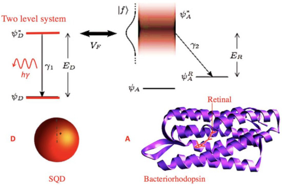 Condensed Matter Free Full Text Electromagnetic Field In - 