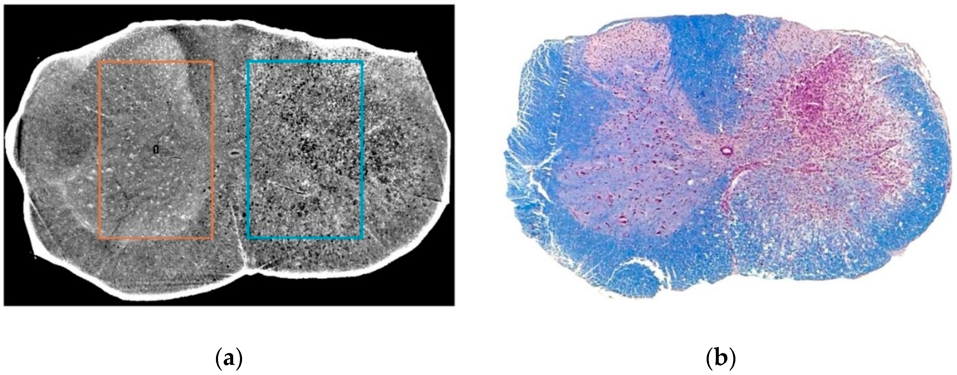 Condensedmatter 03 00048 g001