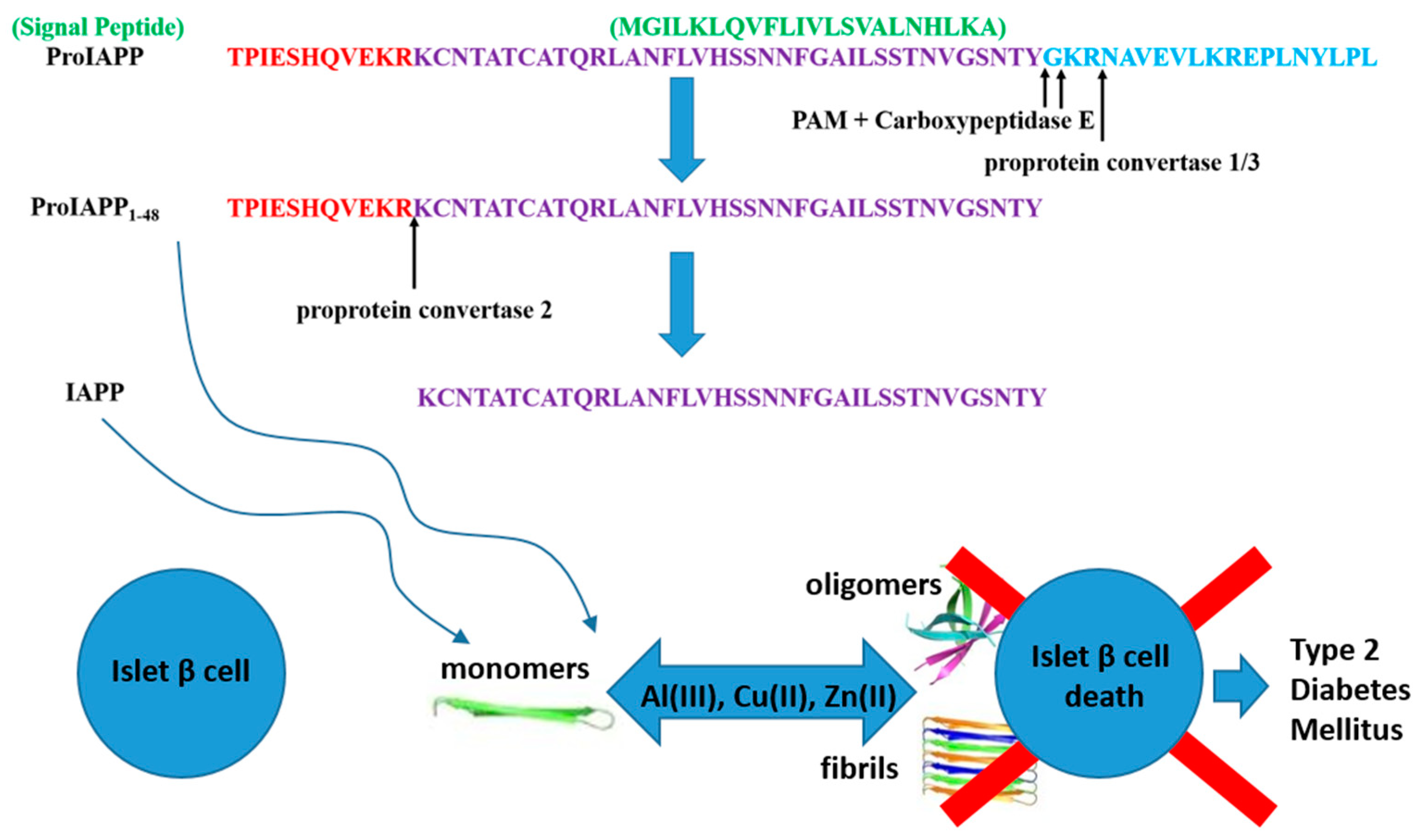 Condensedmatter 04 00013 g001