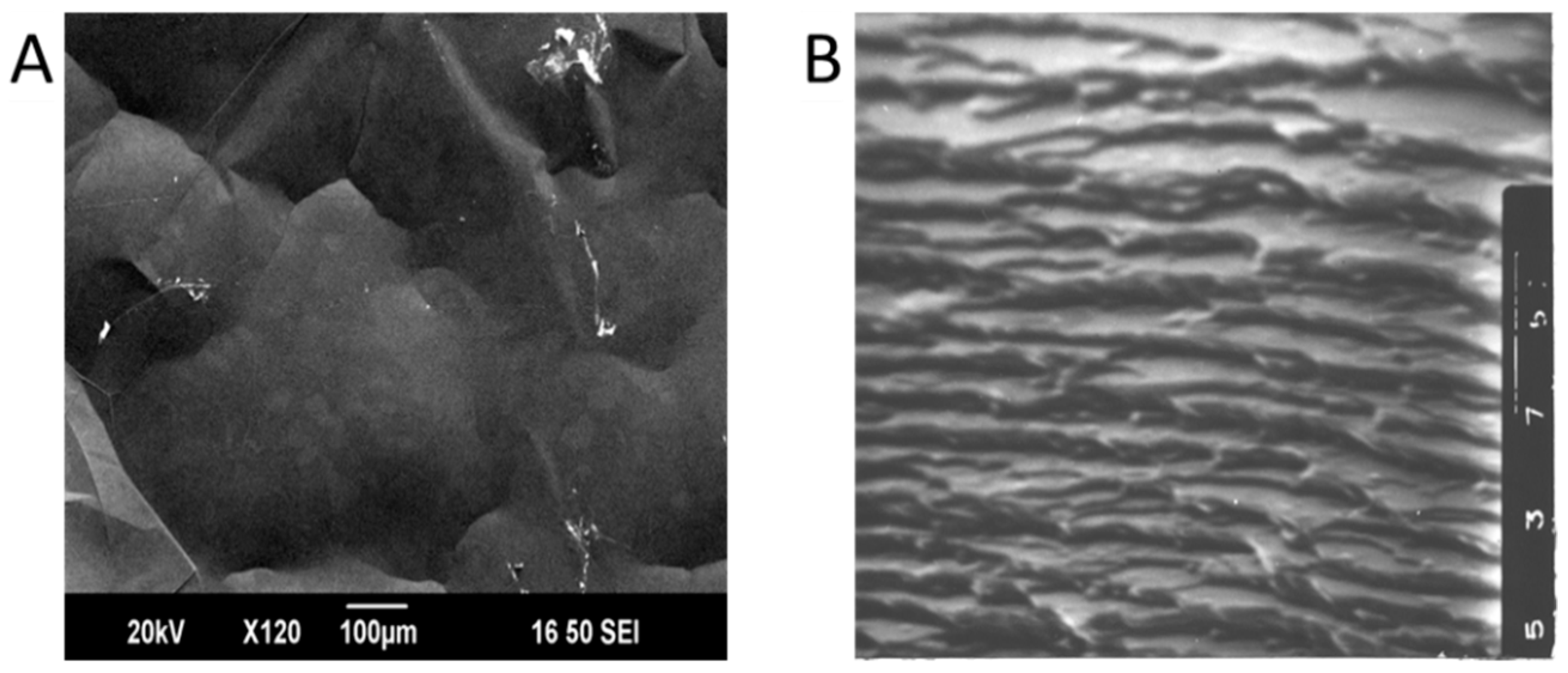 Condensedmatter 04 00018 g003