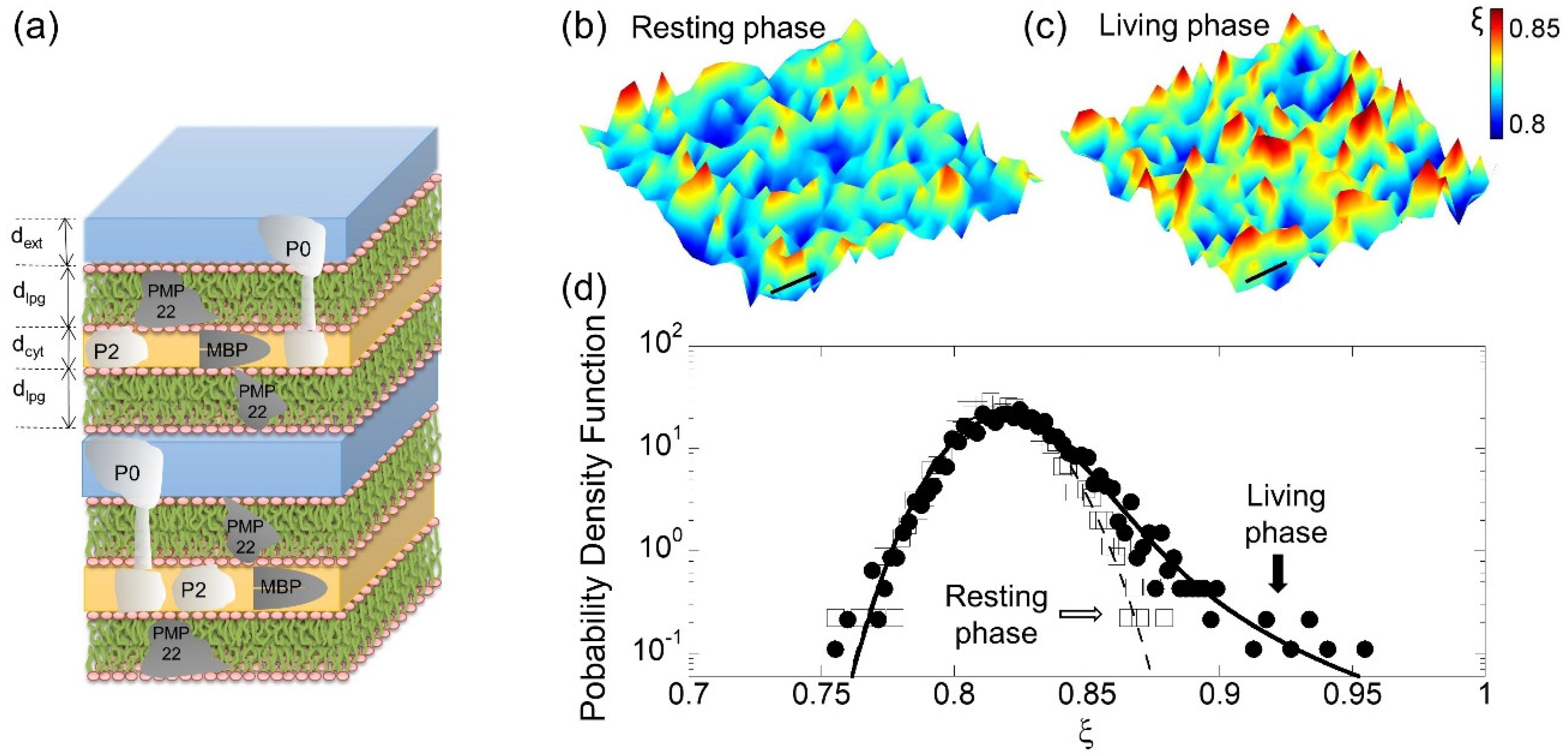 Condensedmatter 04 00032 g003