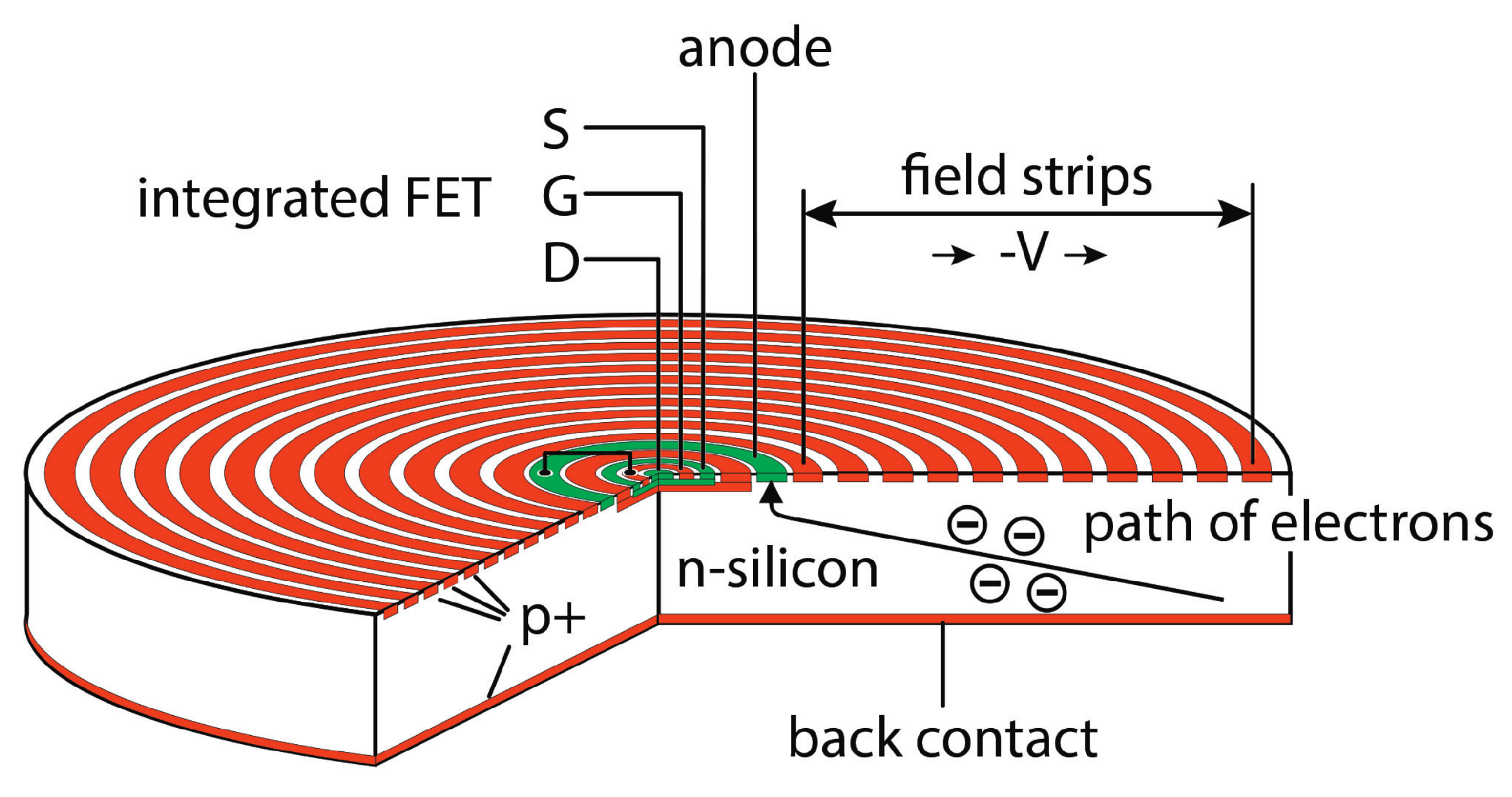 Condensedmatter 04 00042 g005