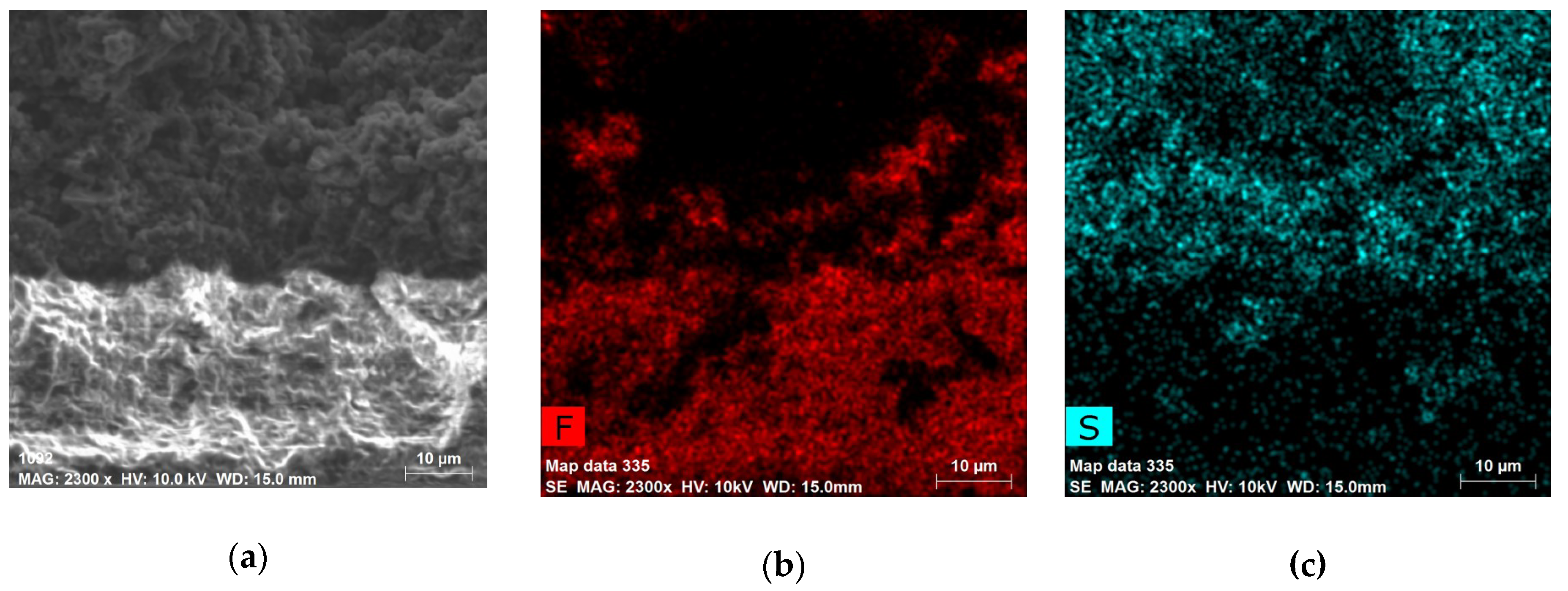 Condensedmatter 04 00056 g002