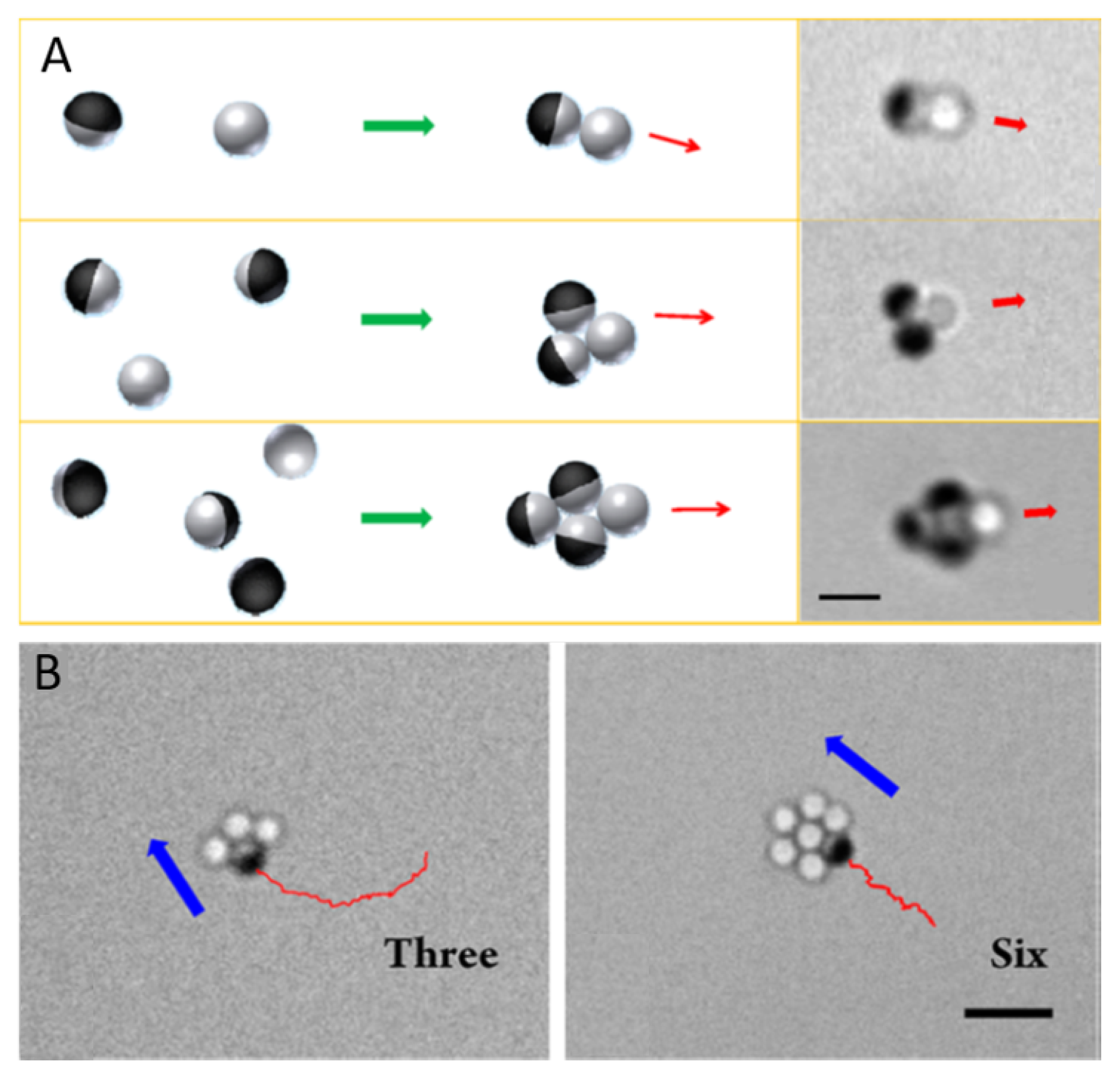 Condensedmatter 04 00078 g001