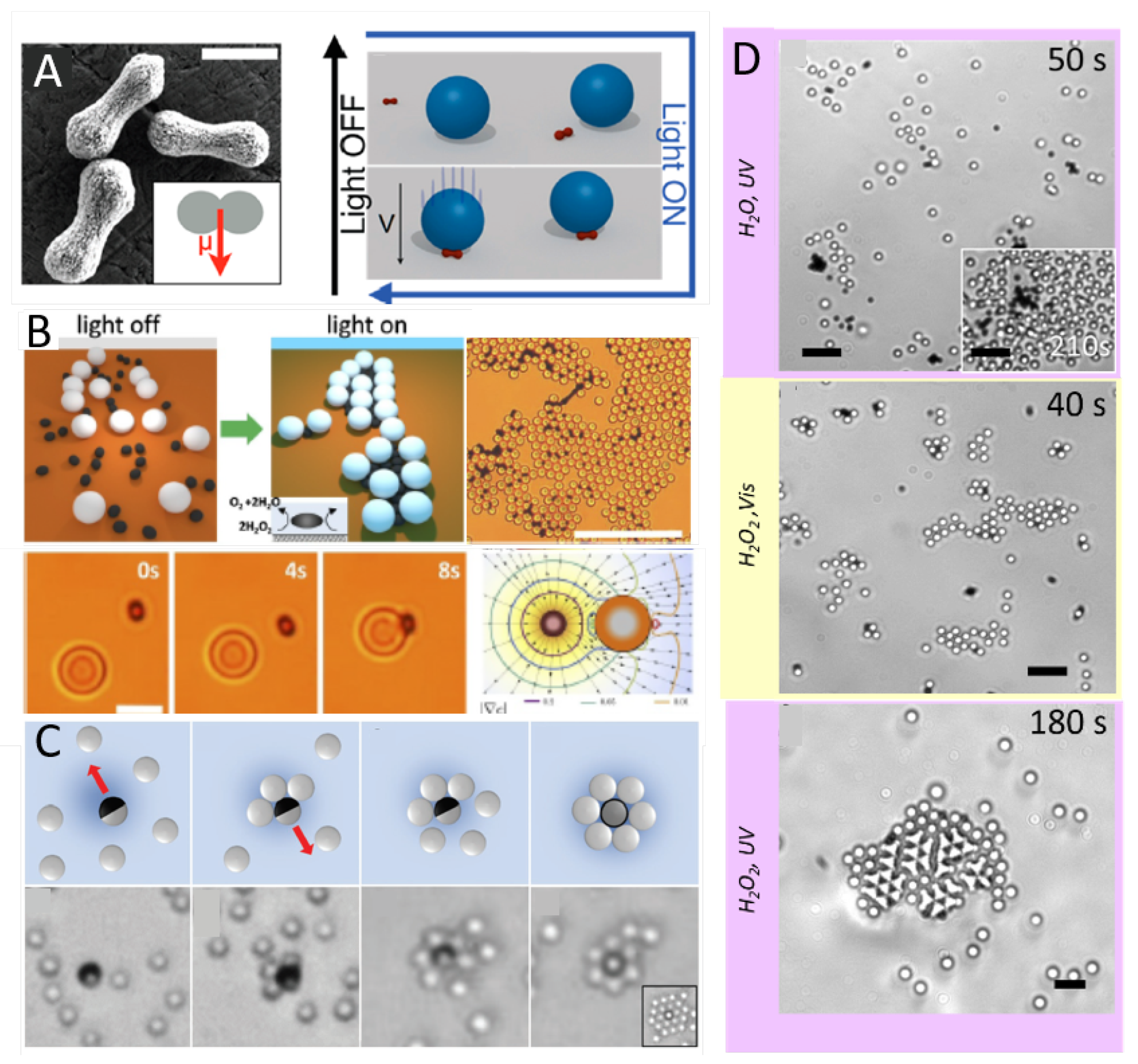 Condensedmatter 04 00078 g002