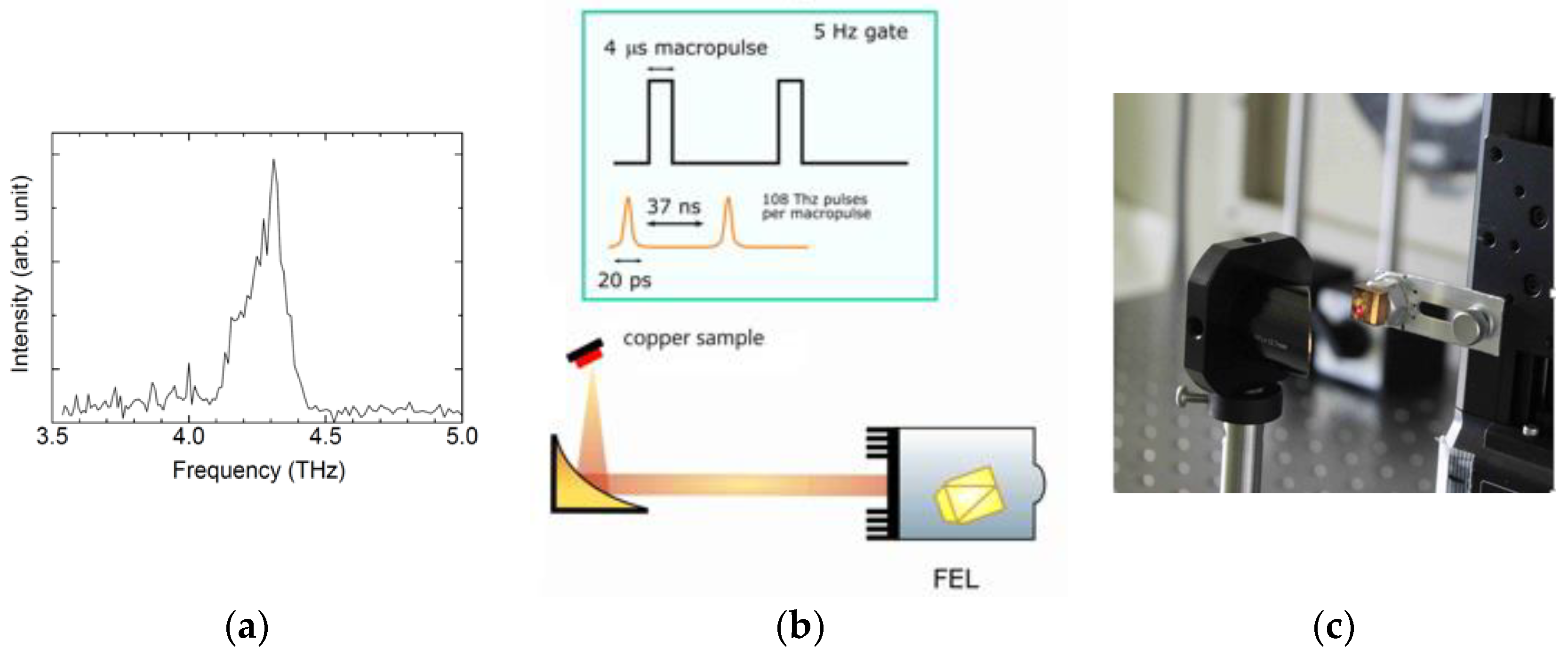 Condensedmatter 05 00016 g001 Condensedmatter 05 00016 g001