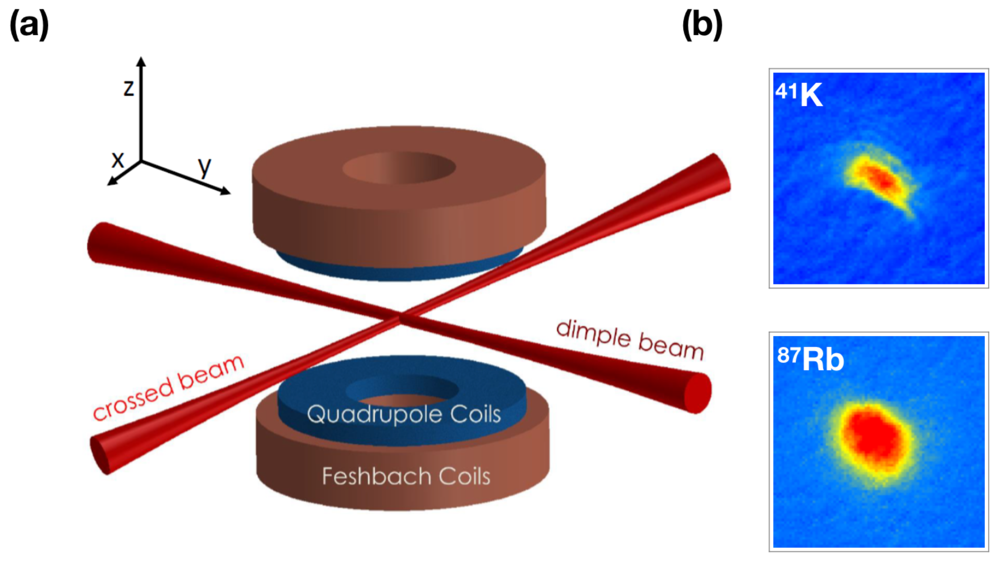 Condensedmatter 05 00021 g001 Condensedmatter 05 00021 g001