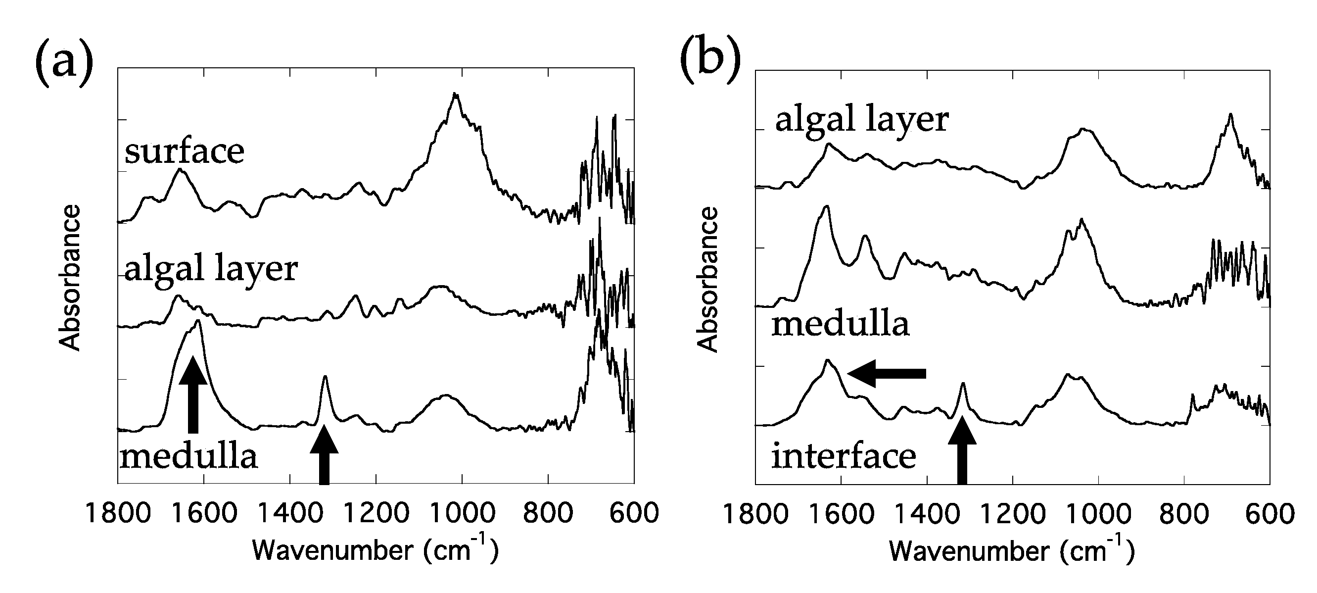 Condensedmatter 05 00028 g004 Condensedmatter 05 00028 g004