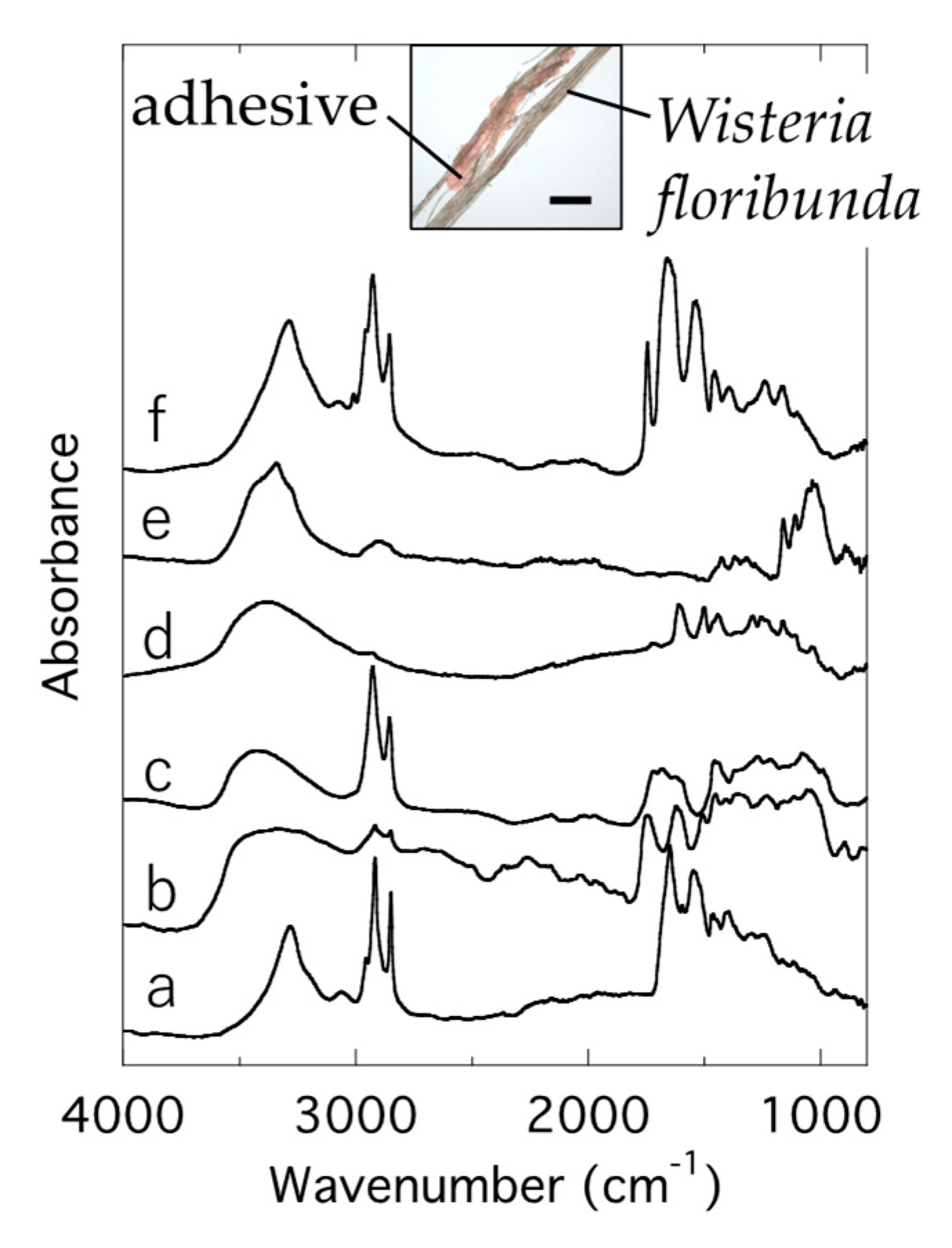 Condensedmatter 05 00028 g005 Condensedmatter 05 00028 g005