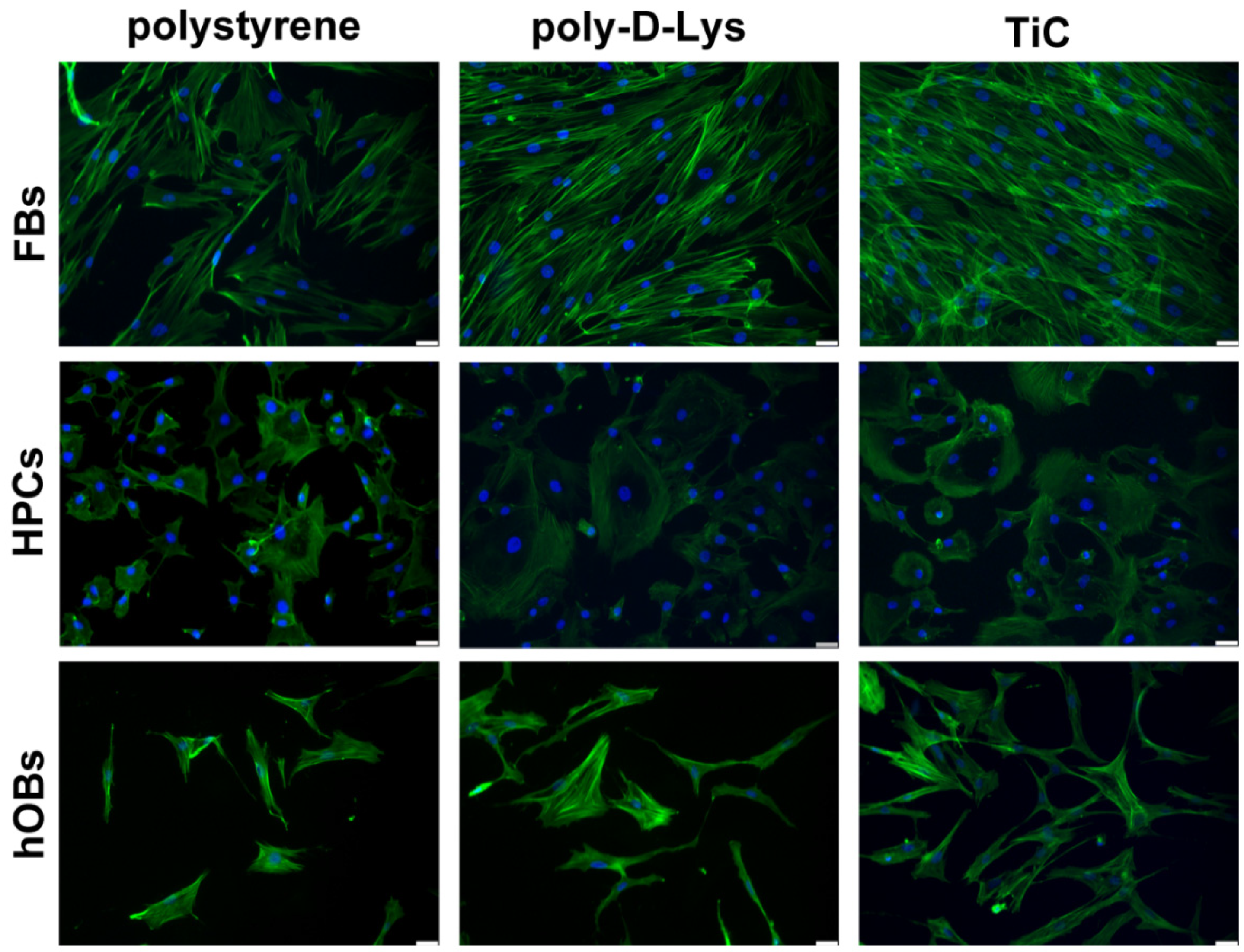 Condensedmatter 05 00029 g001 Condensedmatter 05 00029 g001