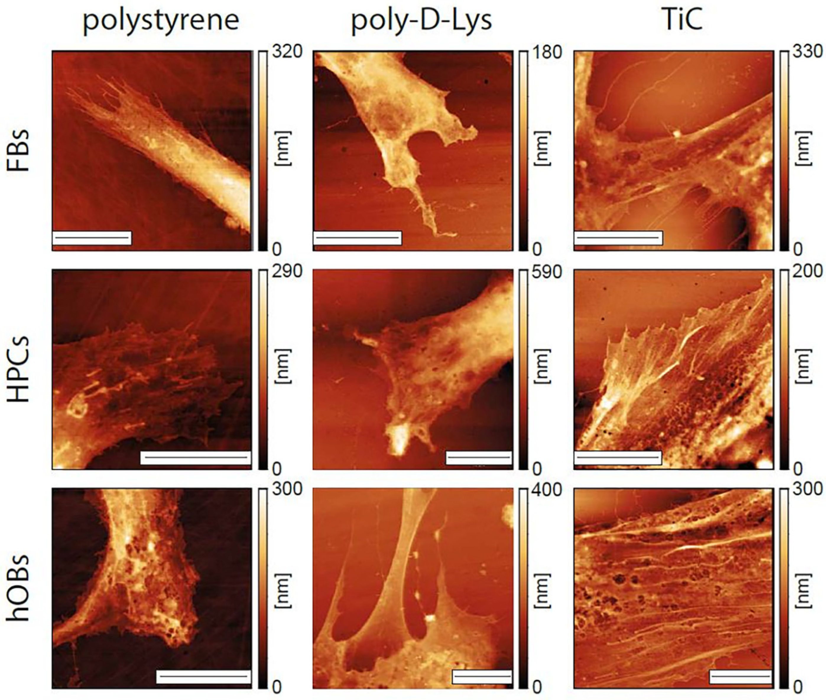Condensedmatter 05 00029 g004 Condensedmatter 05 00029 g004