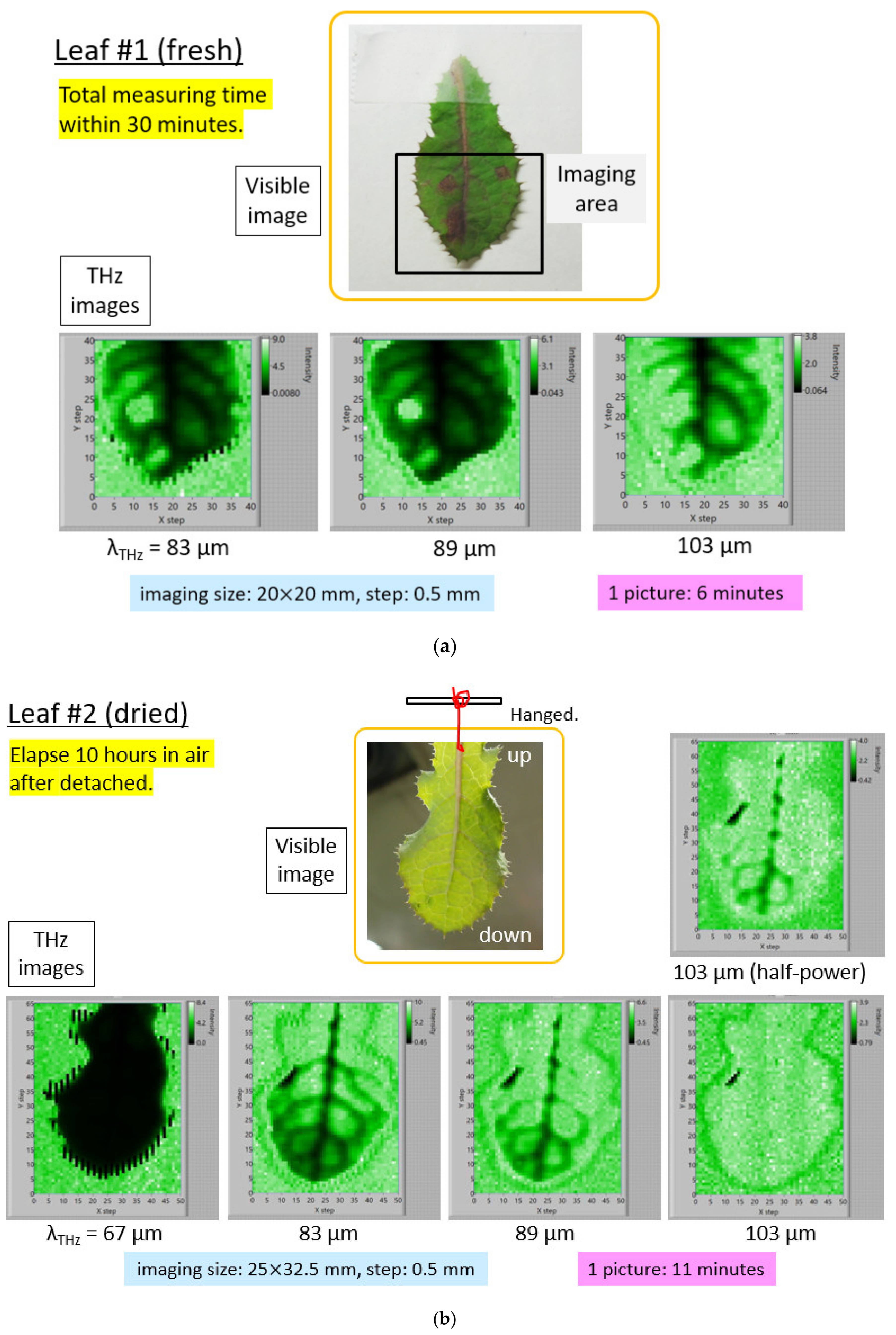 Condensedmatter 05 00038 g008 Condensedmatter 05 00038 g008