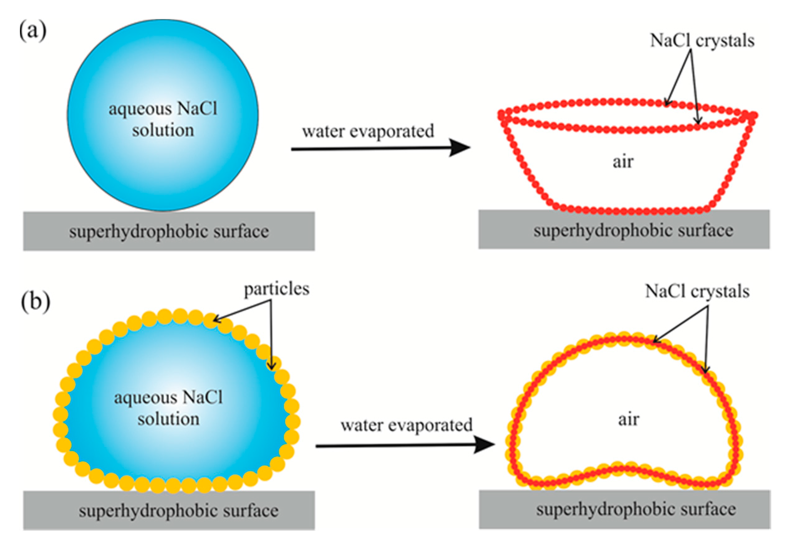 Condensedmatter 05 00062 g001