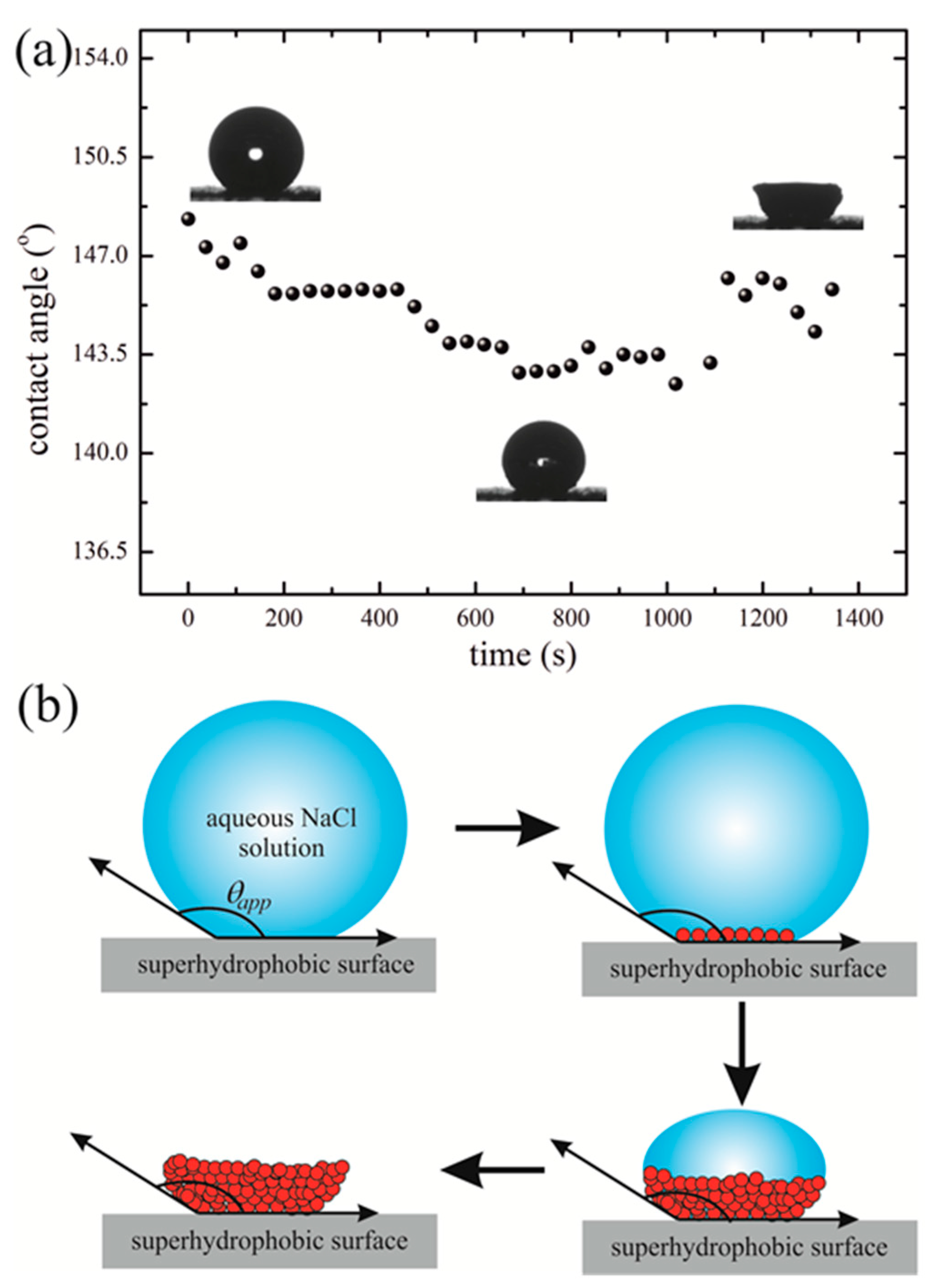 Condensedmatter 05 00062 g002