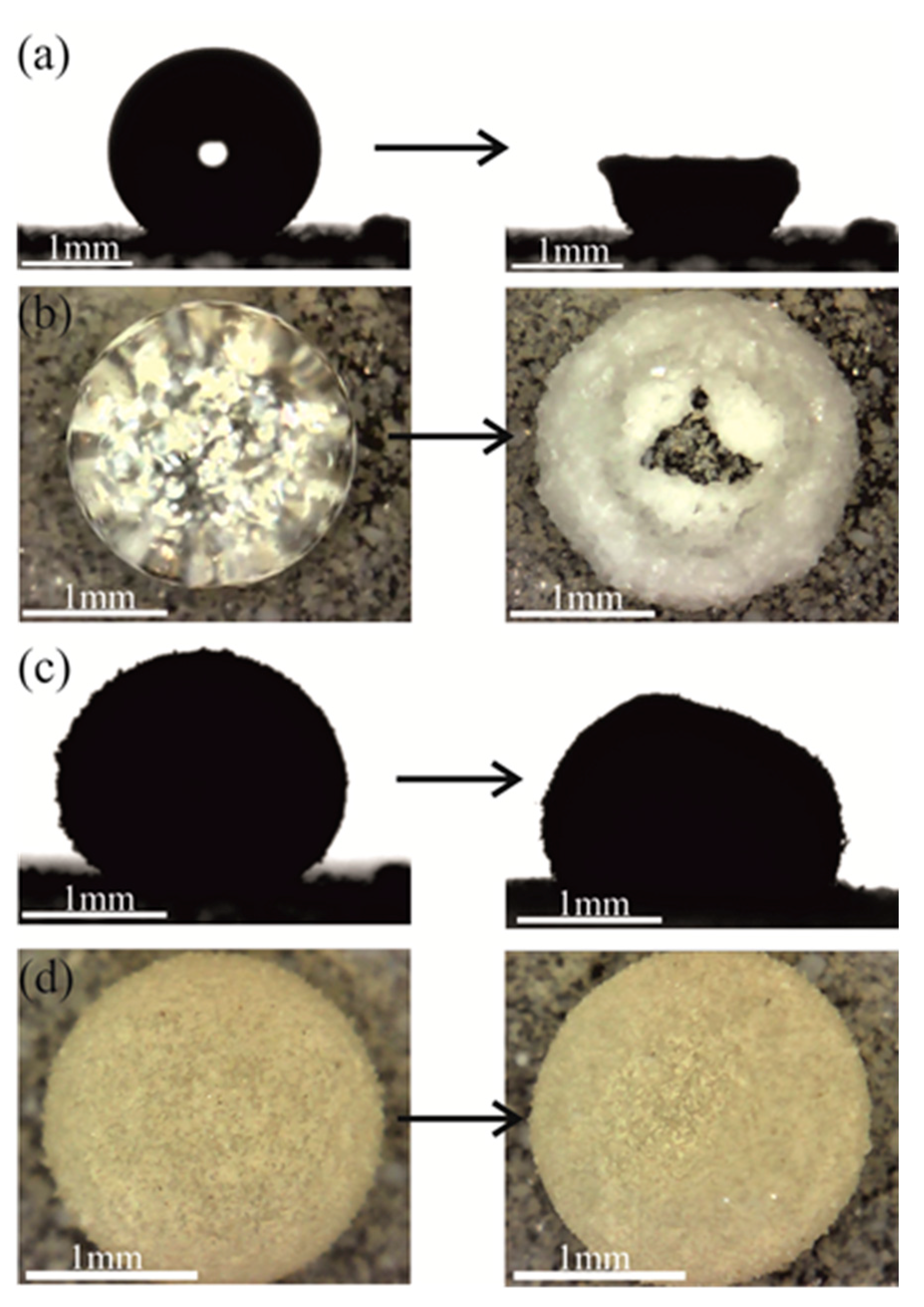 Condensedmatter 05 00062 g003