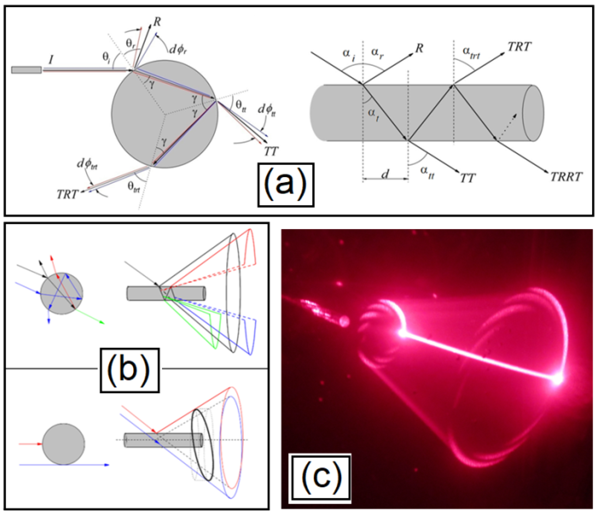 Condensedmatter 06 00030 g016